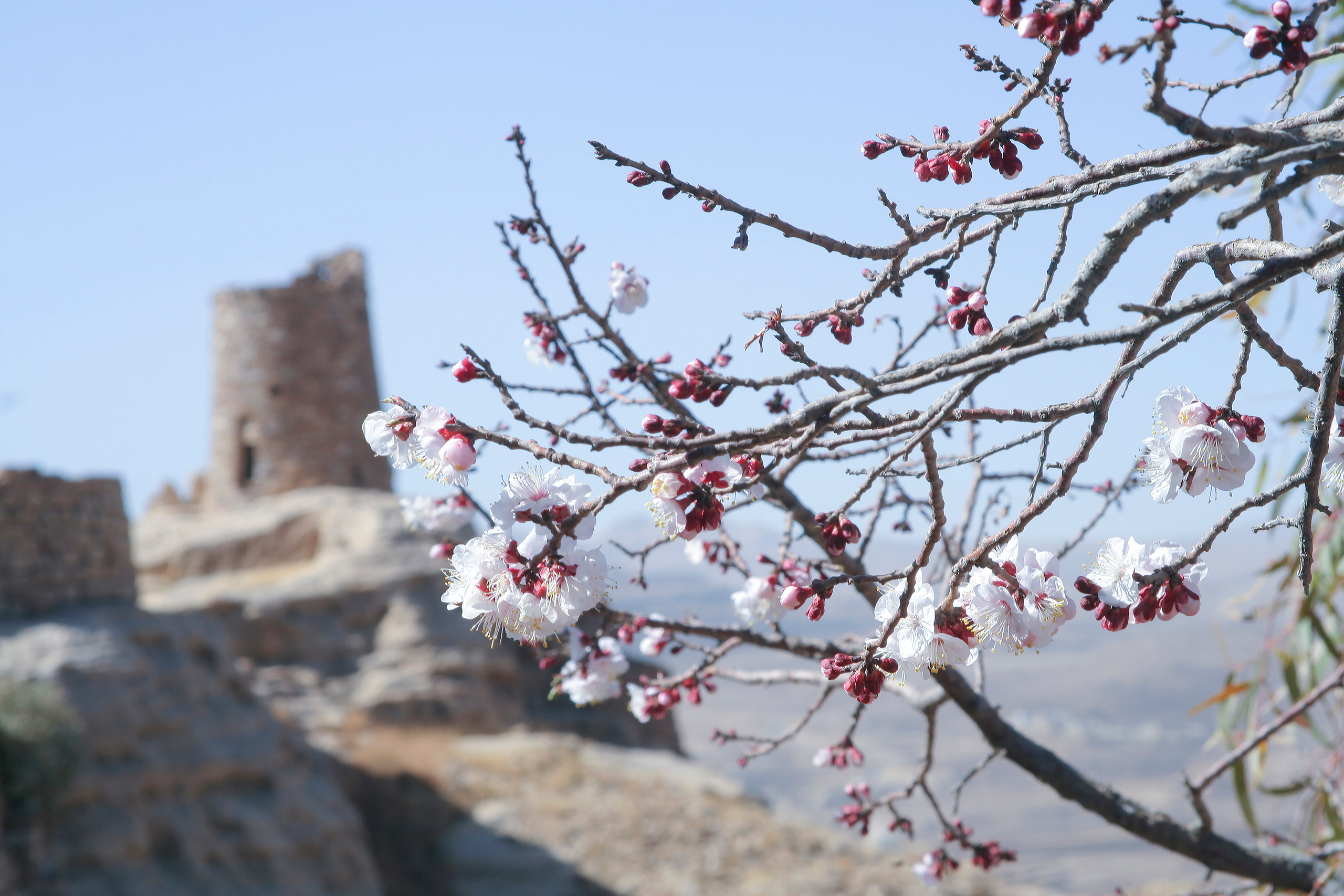 Пейзажи. Фотограф Анна Барне