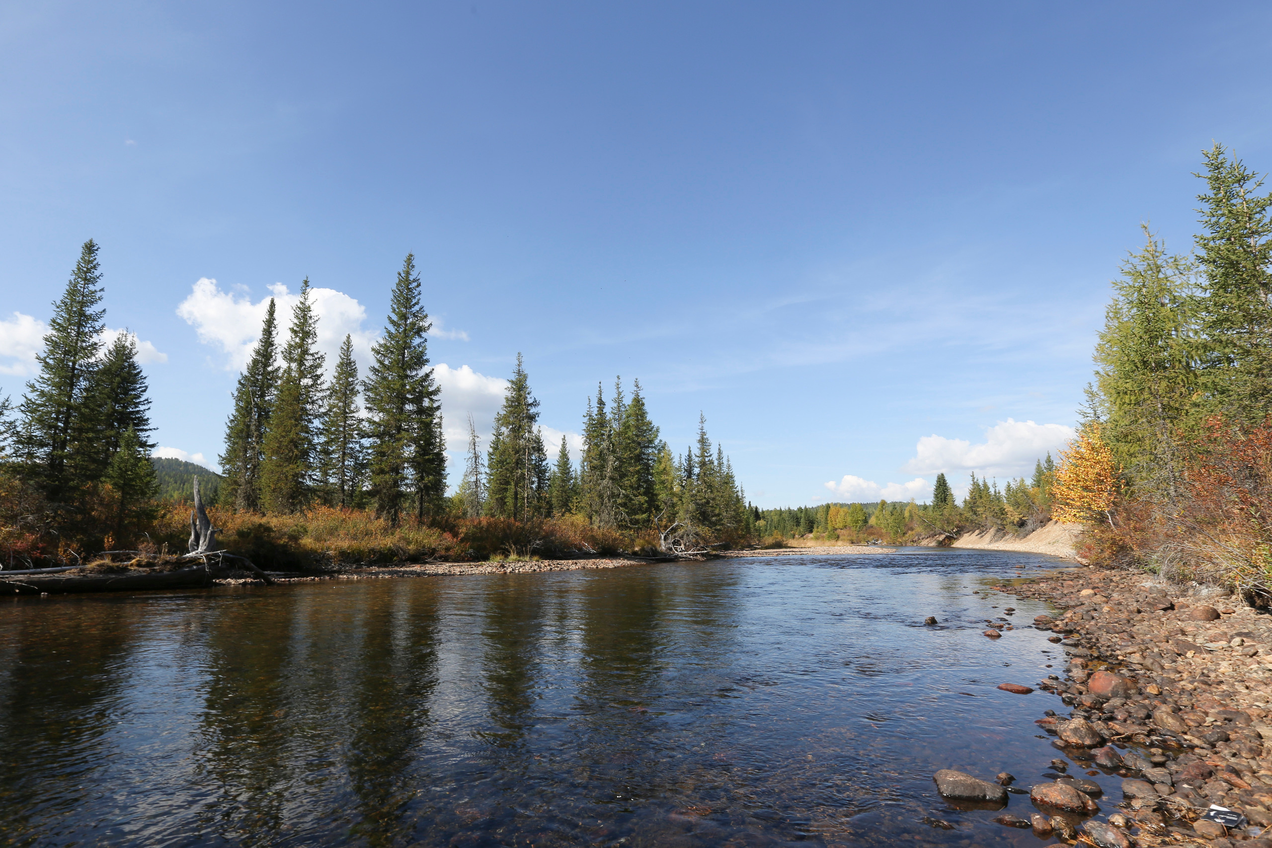 Пейзажи. Фотограф Анна Барне