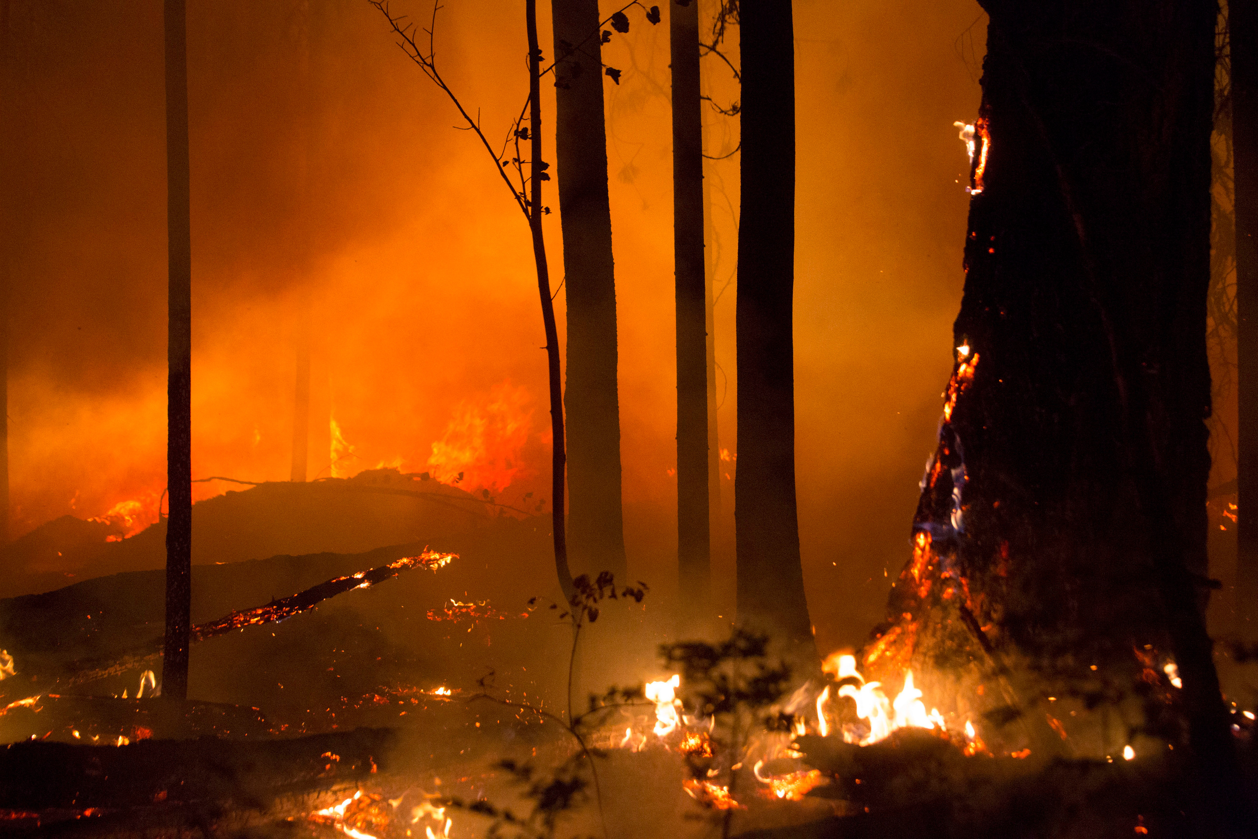 Пожары. Работа Авиалесоохраны. Фотограф Анна Барне