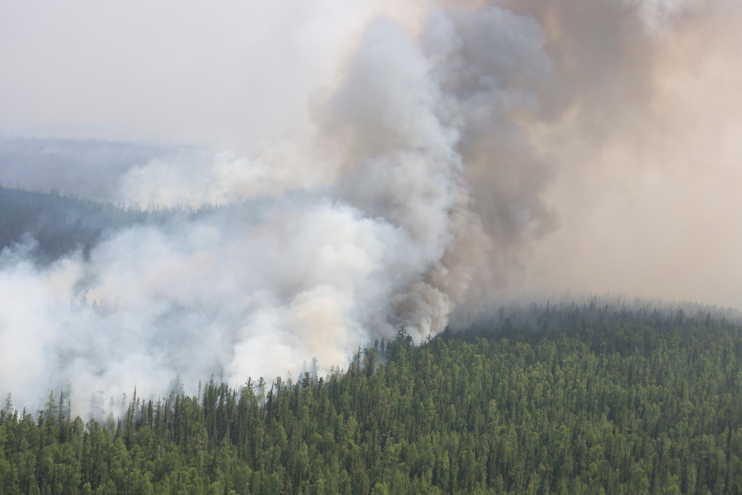 Пожары. Работа Авиалесоохраны. Фотограф Анна Барне