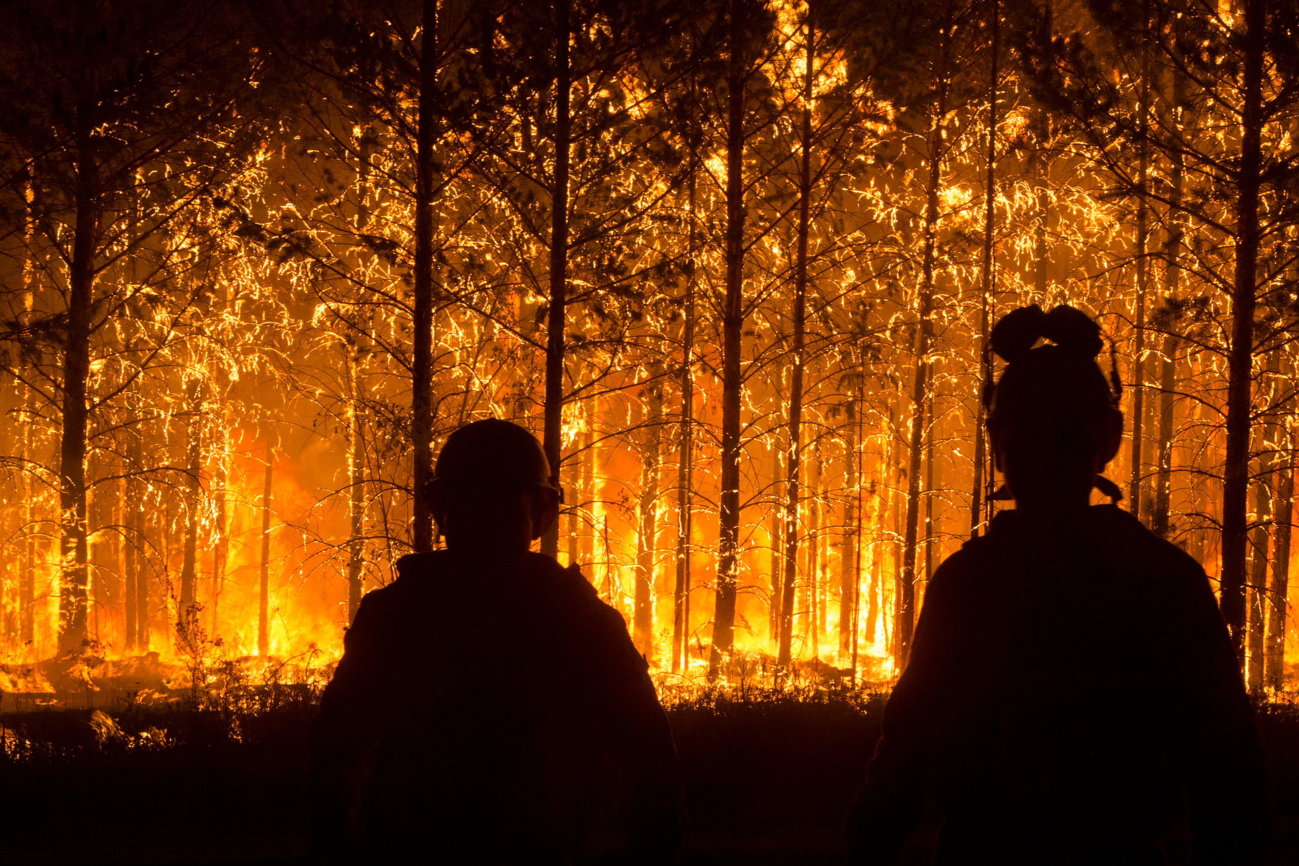 Пожары. Работа Авиалесоохраны. Фотограф Анна Барне
