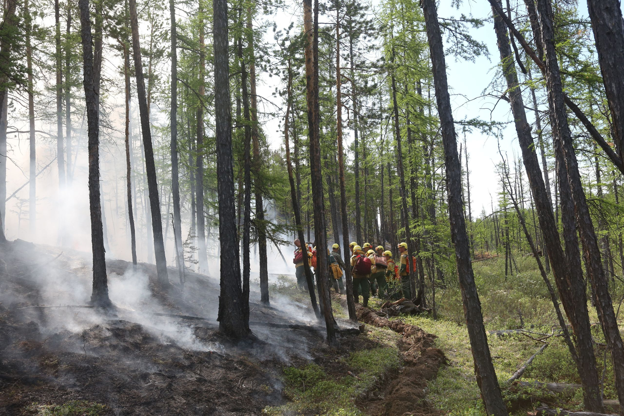 Пожары. Работа Авиалесоохраны. Фотограф Анна Барне