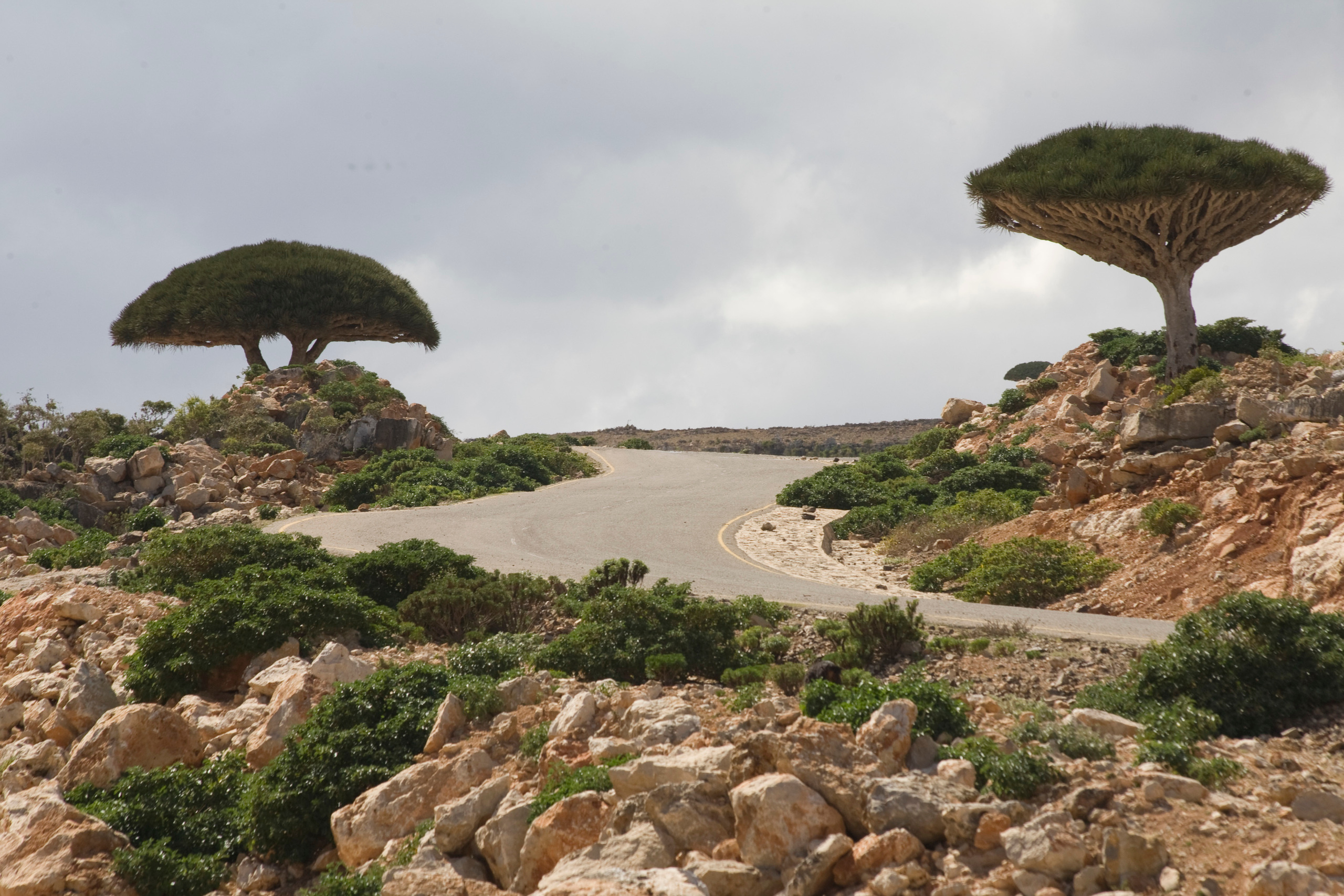 Йемен. Фотограф Анна Барне
