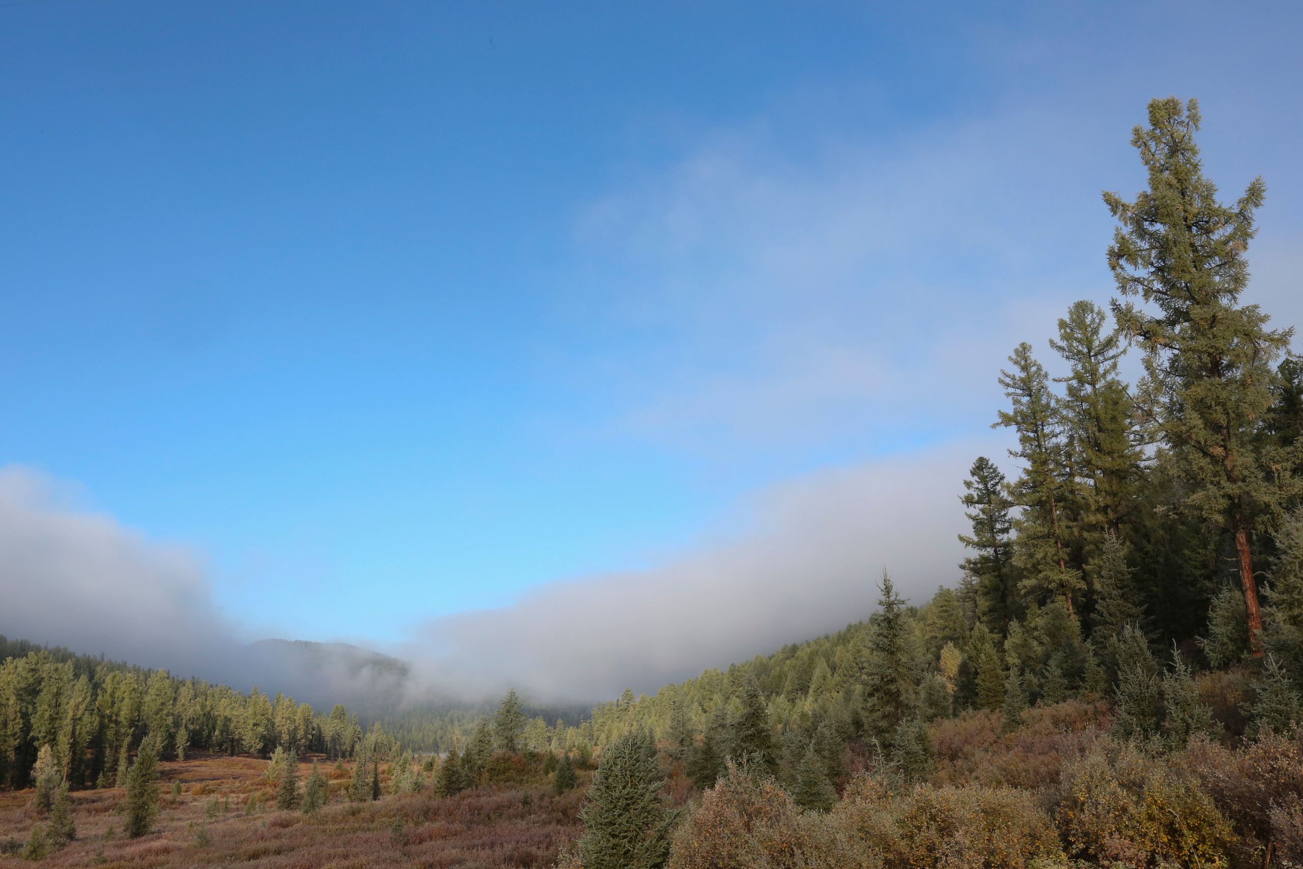 Пейзажи. Фотограф Анна Барне