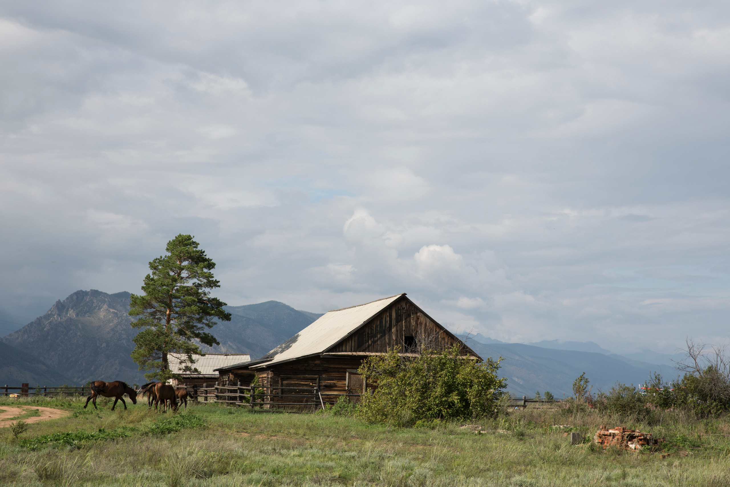 Пейзажи. Фотограф Анна Барне