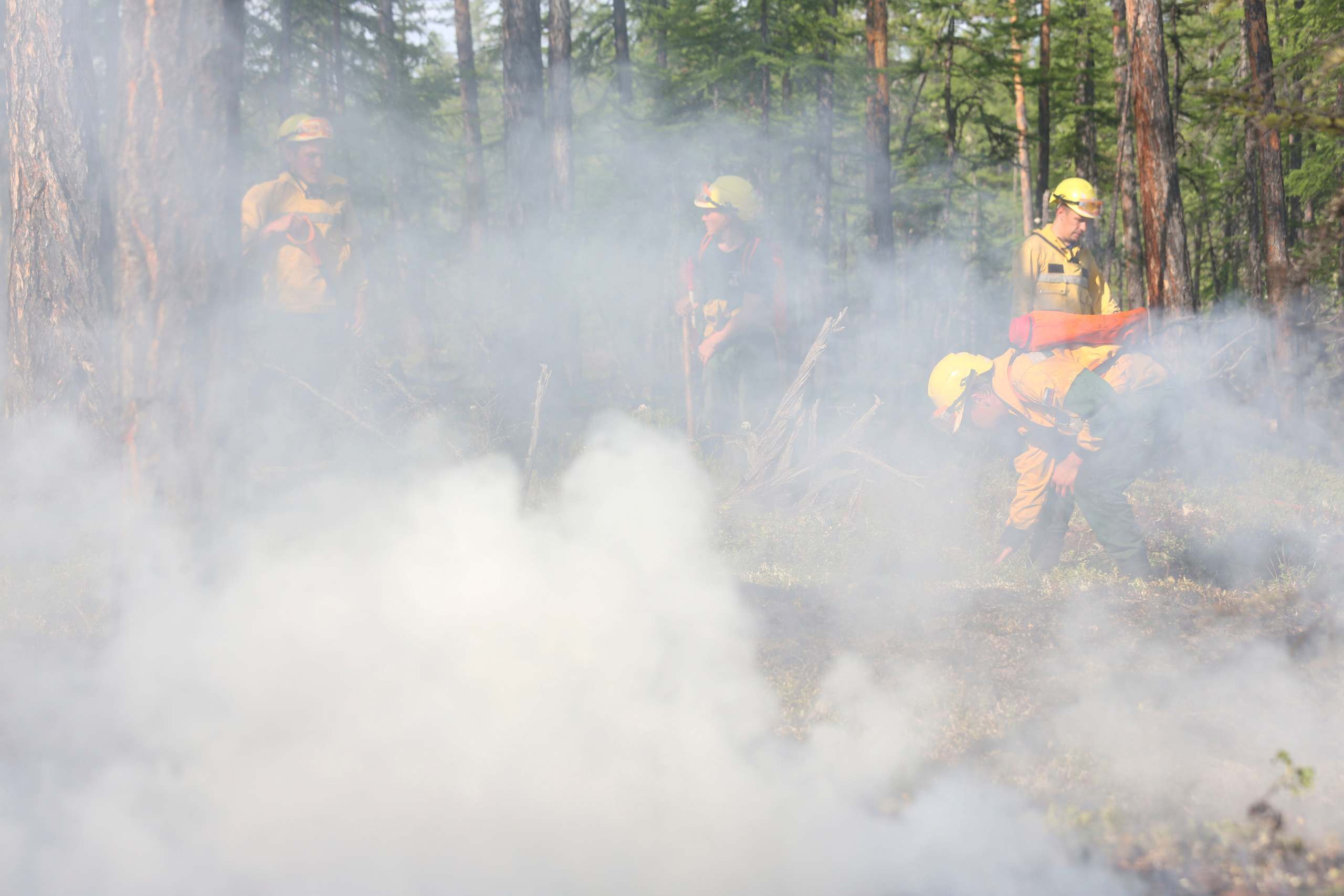 Пожары. Работа Авиалесоохраны. Фотограф Анна Барне