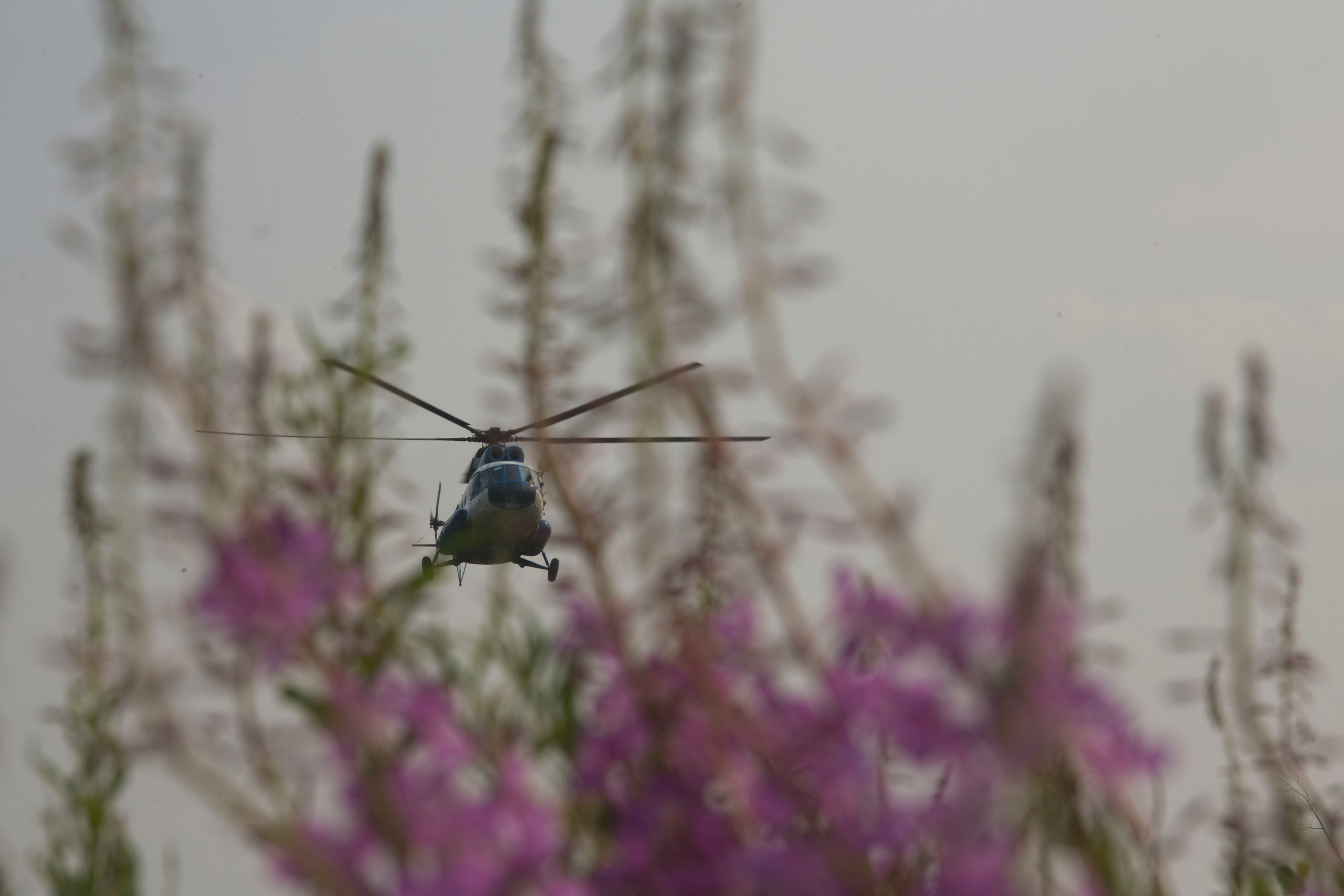 Пожары. Работа Авиалесоохраны. Фотограф Анна Барне