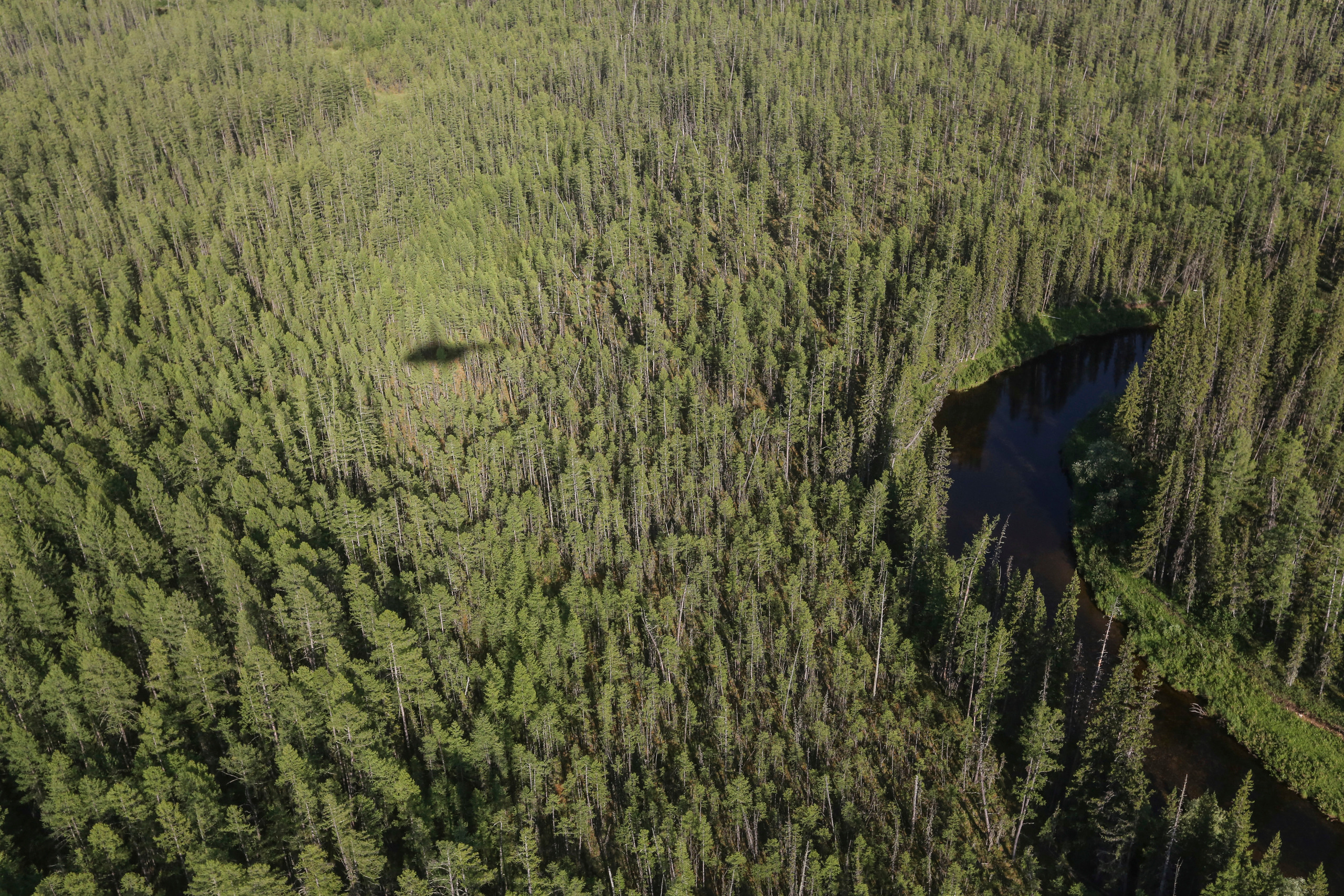 Пейзажи. Фотограф Анна Барне