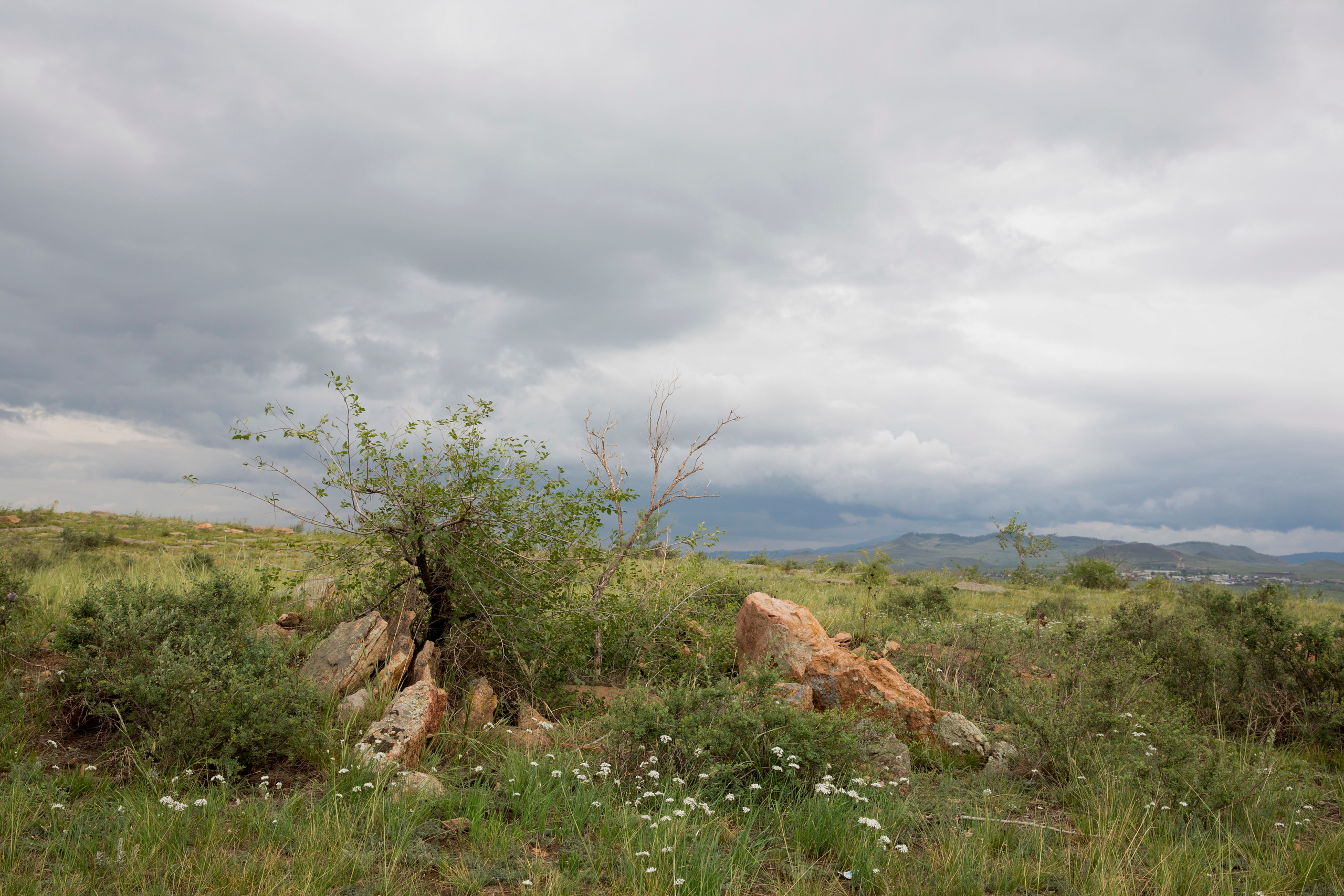 Пейзажи. Фотограф Анна Барне
