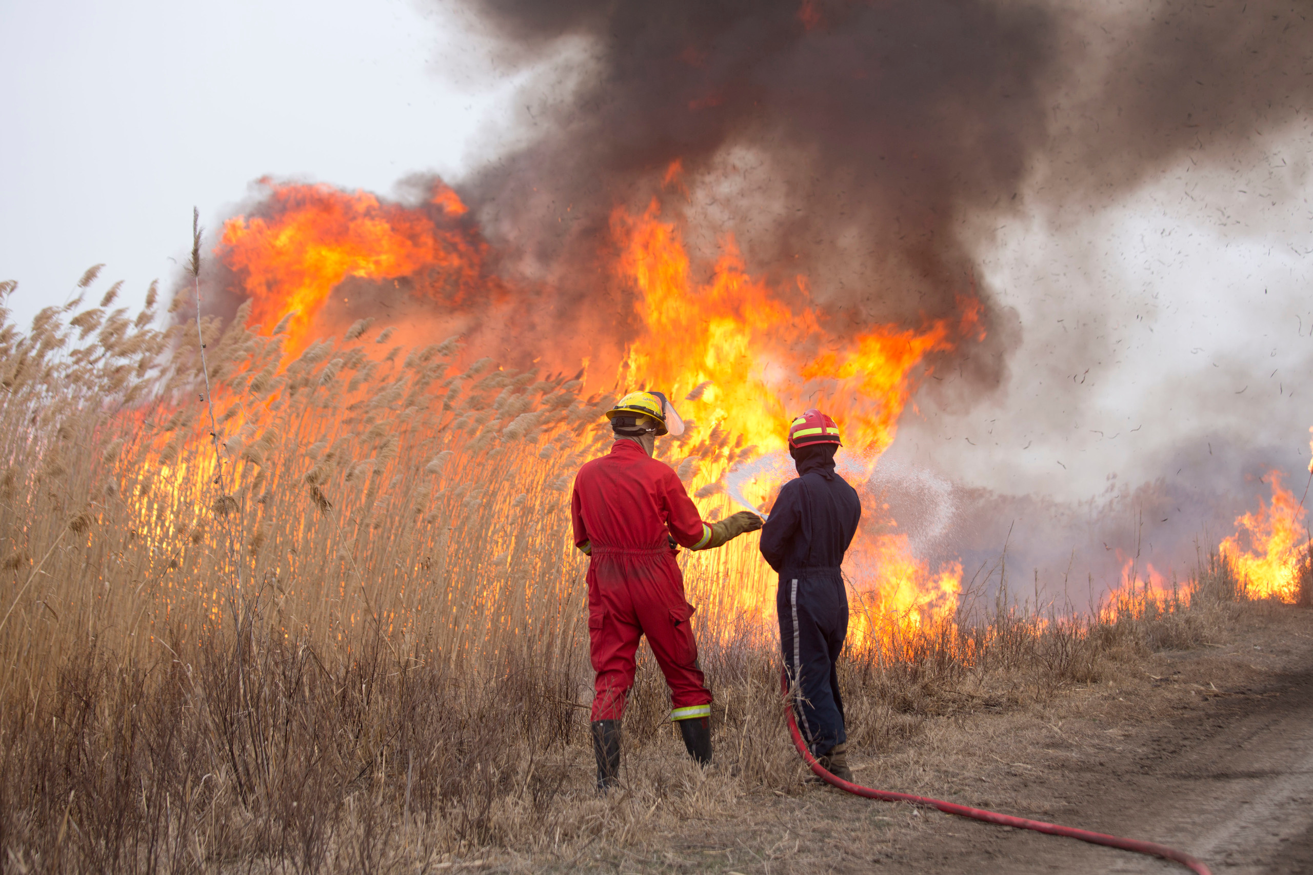 Пожары. Работа добровольцев. Фотограф Анна Барне
