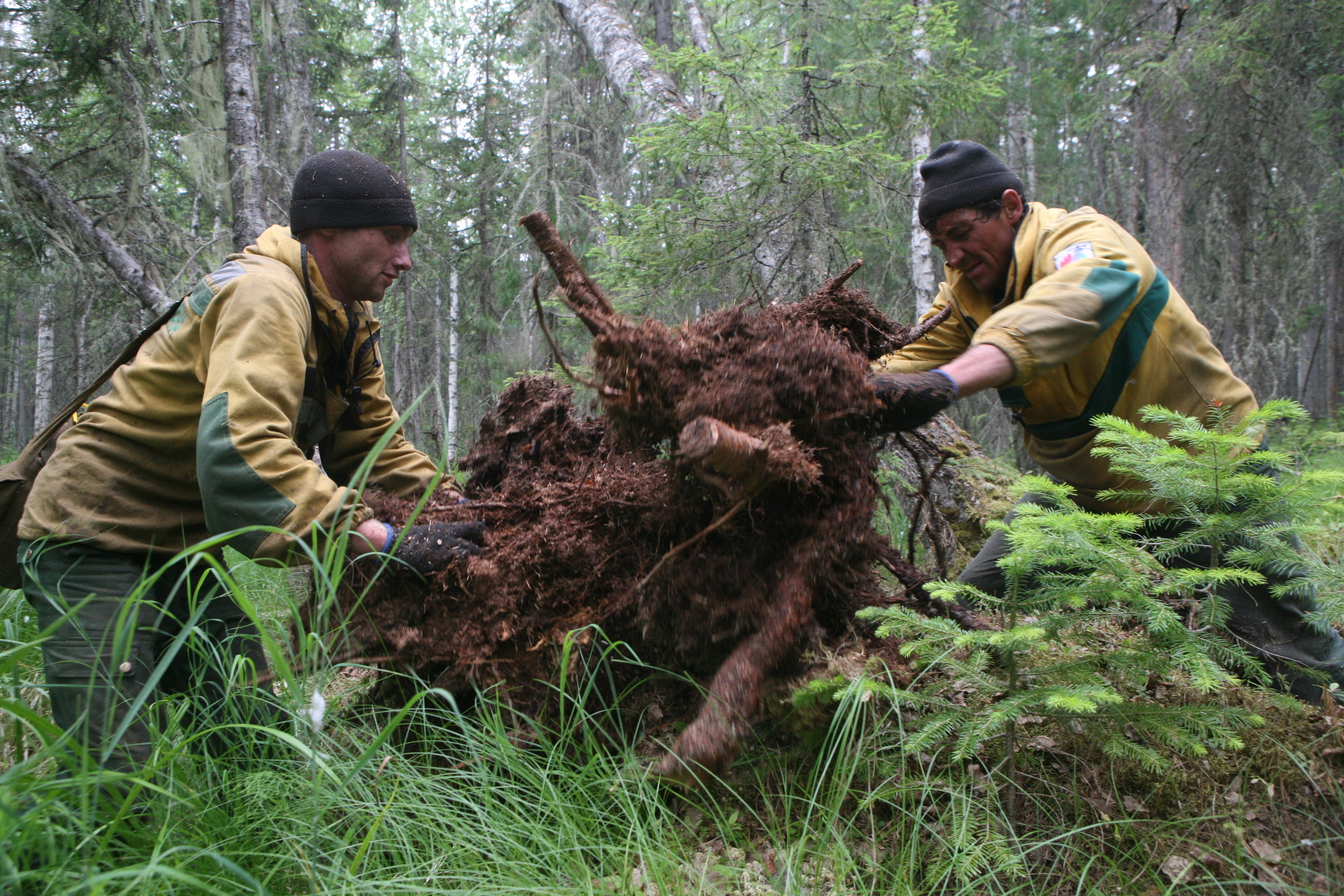 Пожары. Работа Авиалесоохраны. Фотограф Анна Барне