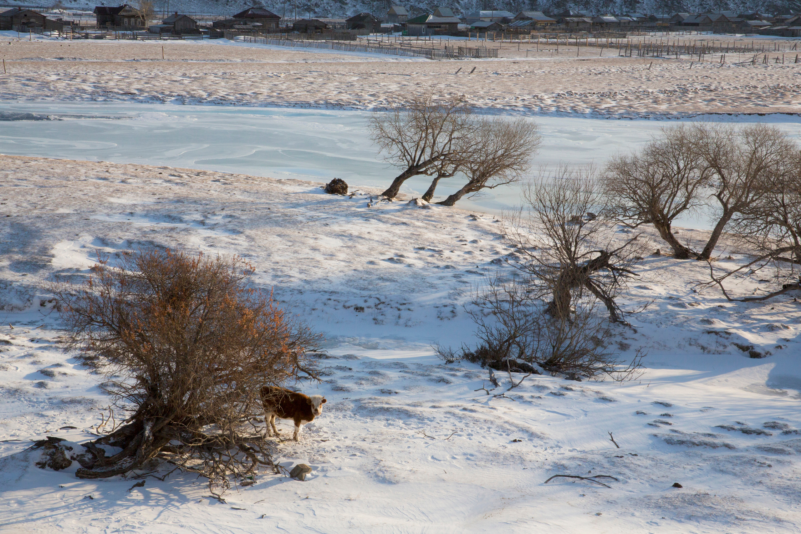 Пейзажи. Фотограф Анна Барне