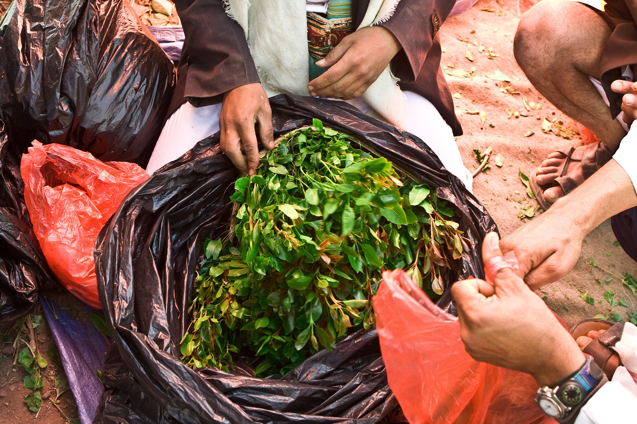 Йемен. Фотограф Анна Барне