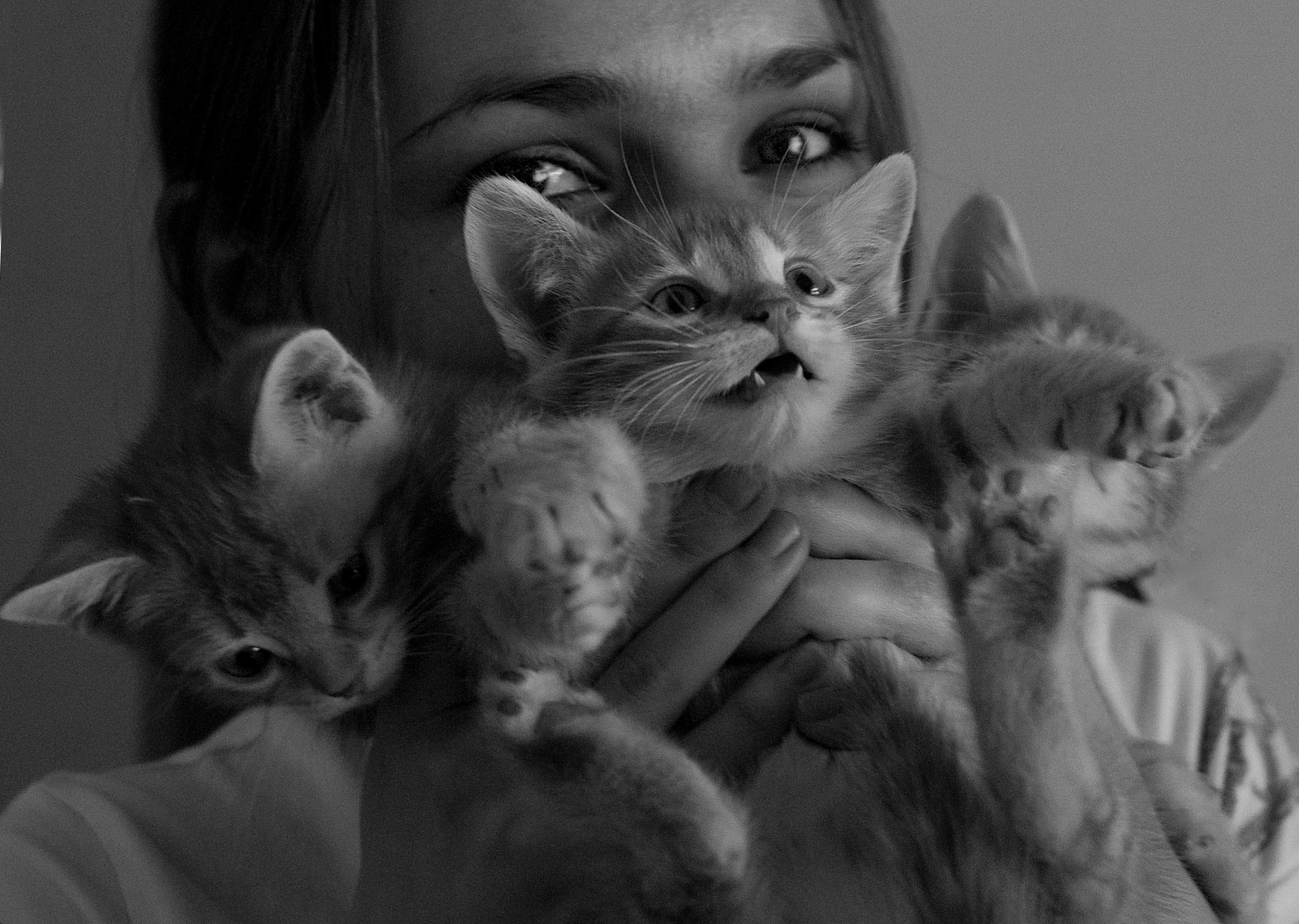 Безумный город. Фотограф Анна Барне