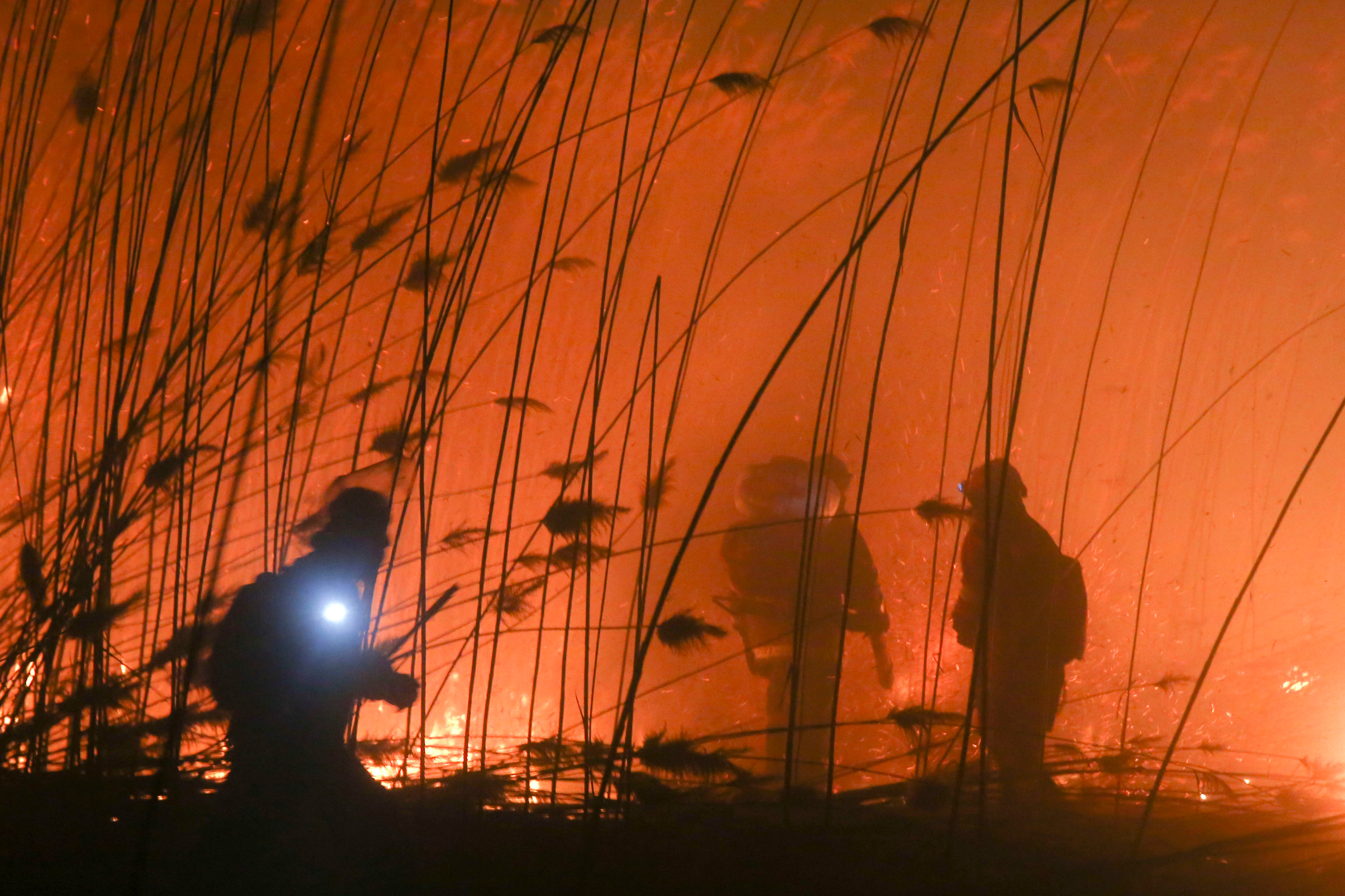 Пожары. Работа добровольцев. Фотограф Анна Барне