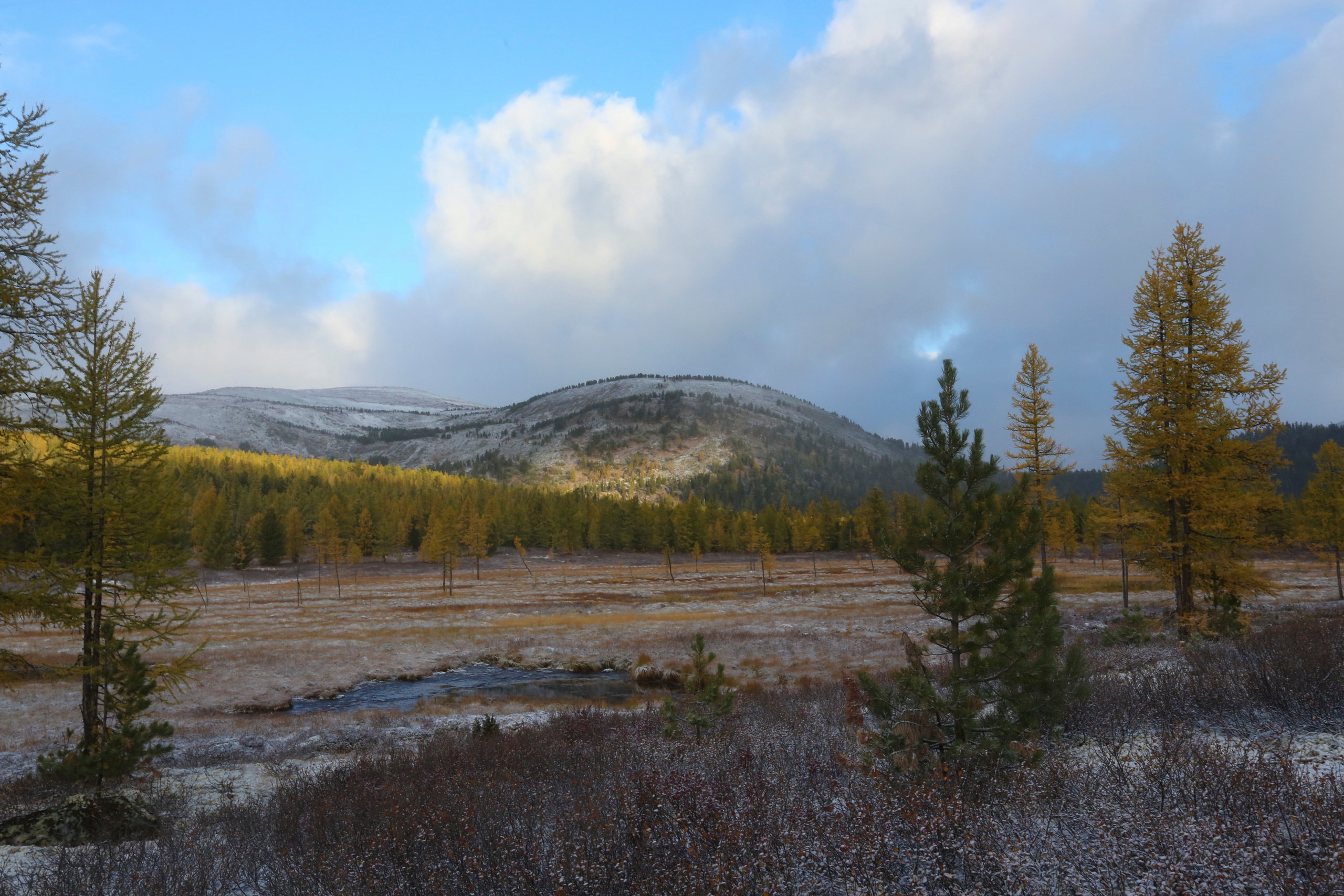 Пейзажи. Фотограф Анна Барне