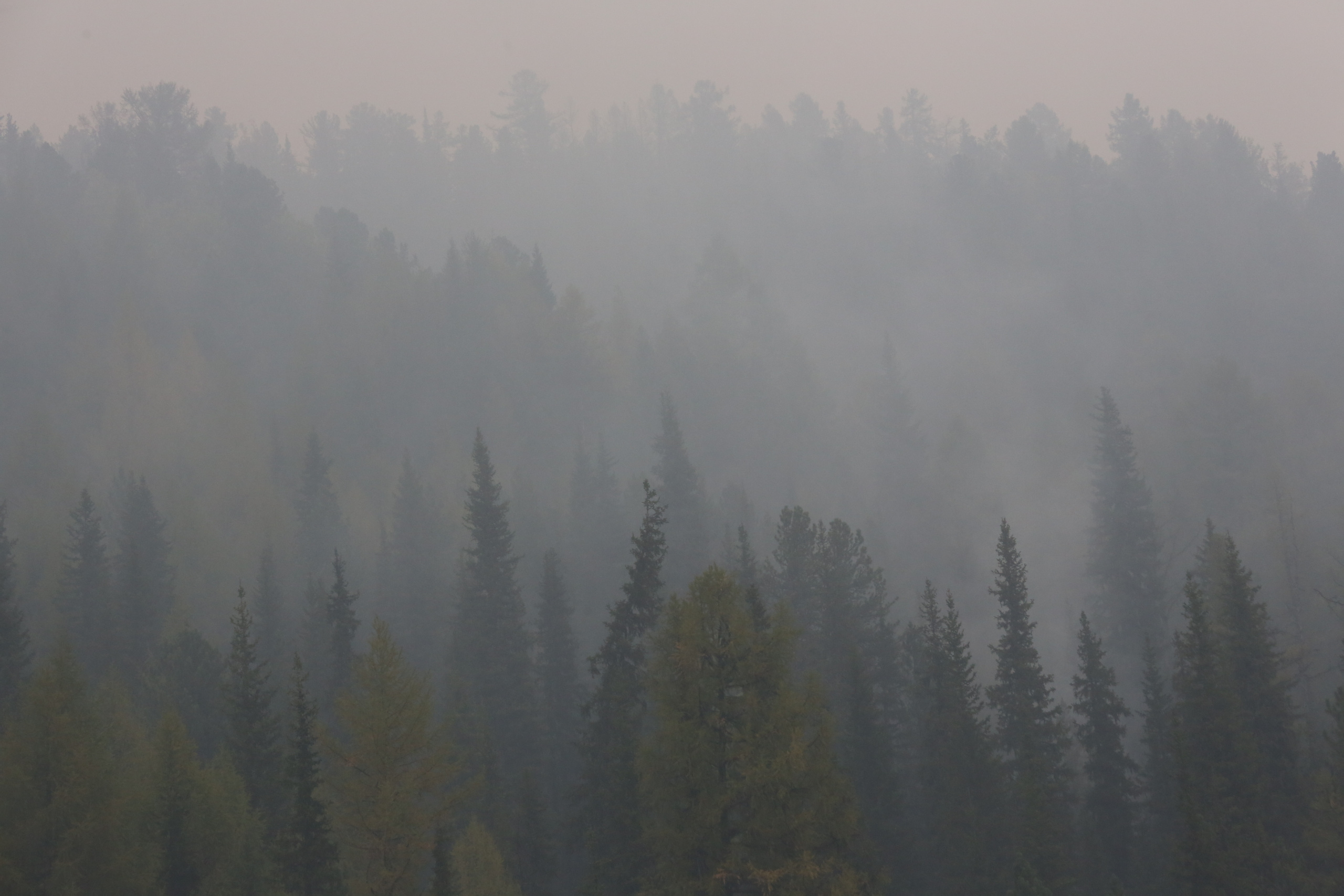 Пожары. Работа Авиалесоохраны. Фотограф Анна Барне