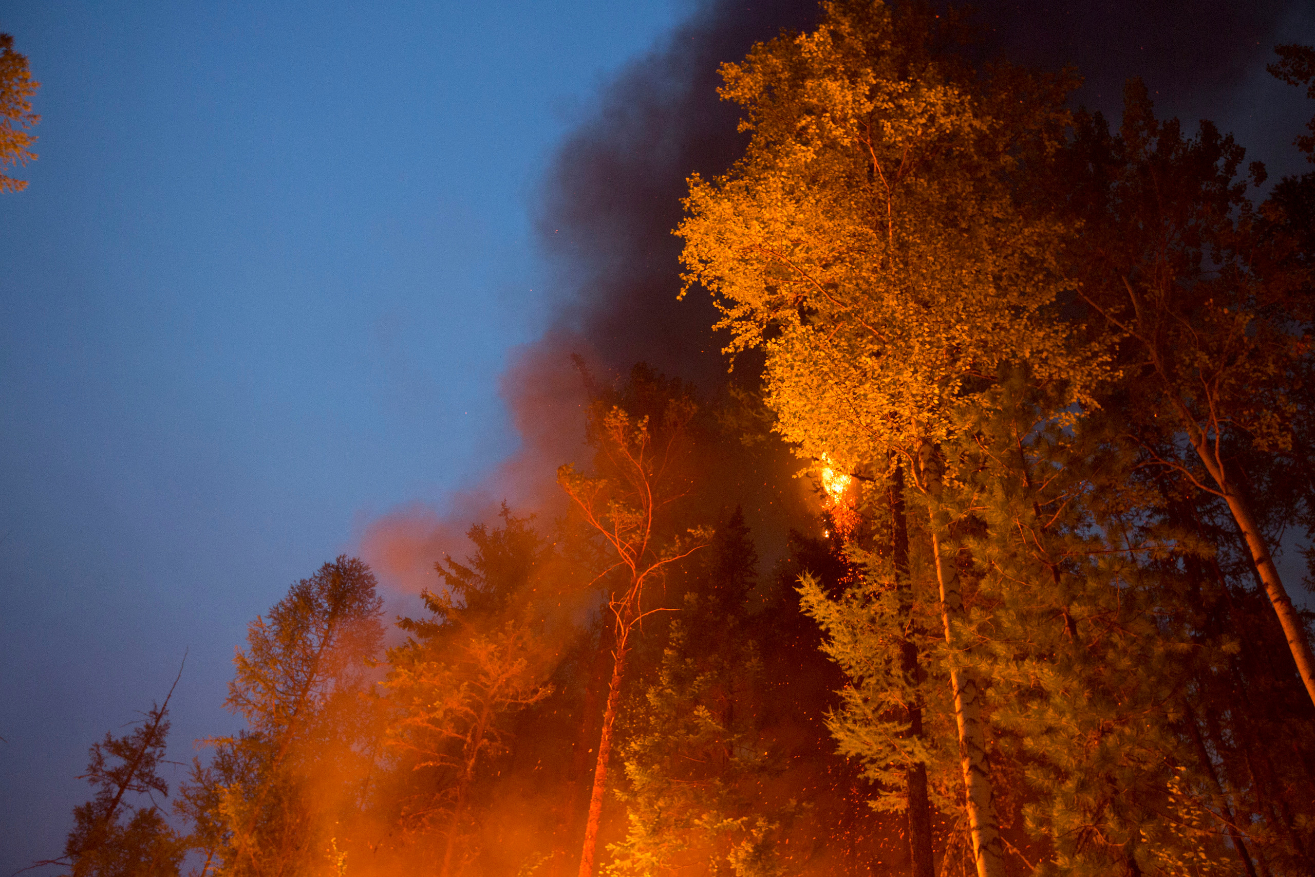 Пожары. Работа Авиалесоохраны. Фотограф Анна Барне