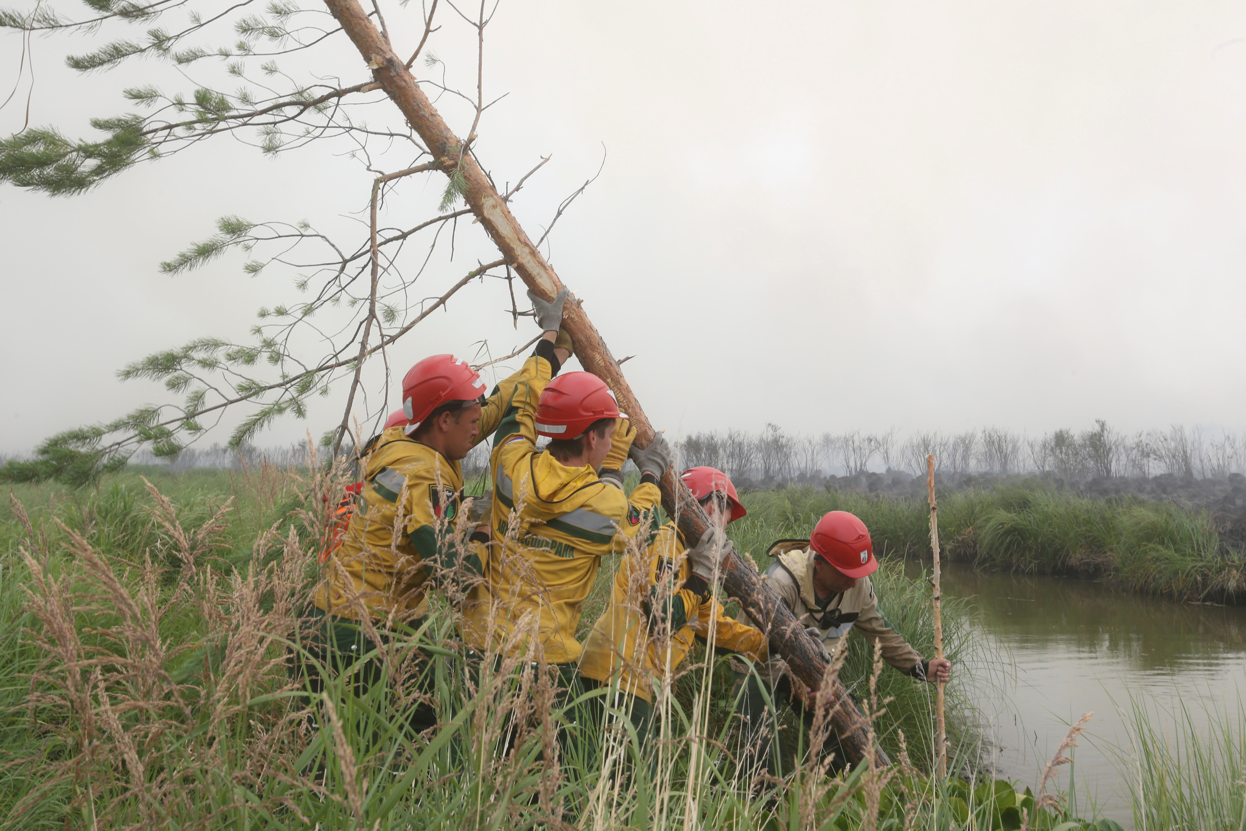Пожары. Работа Авиалесоохраны. Фотограф Анна Барне
