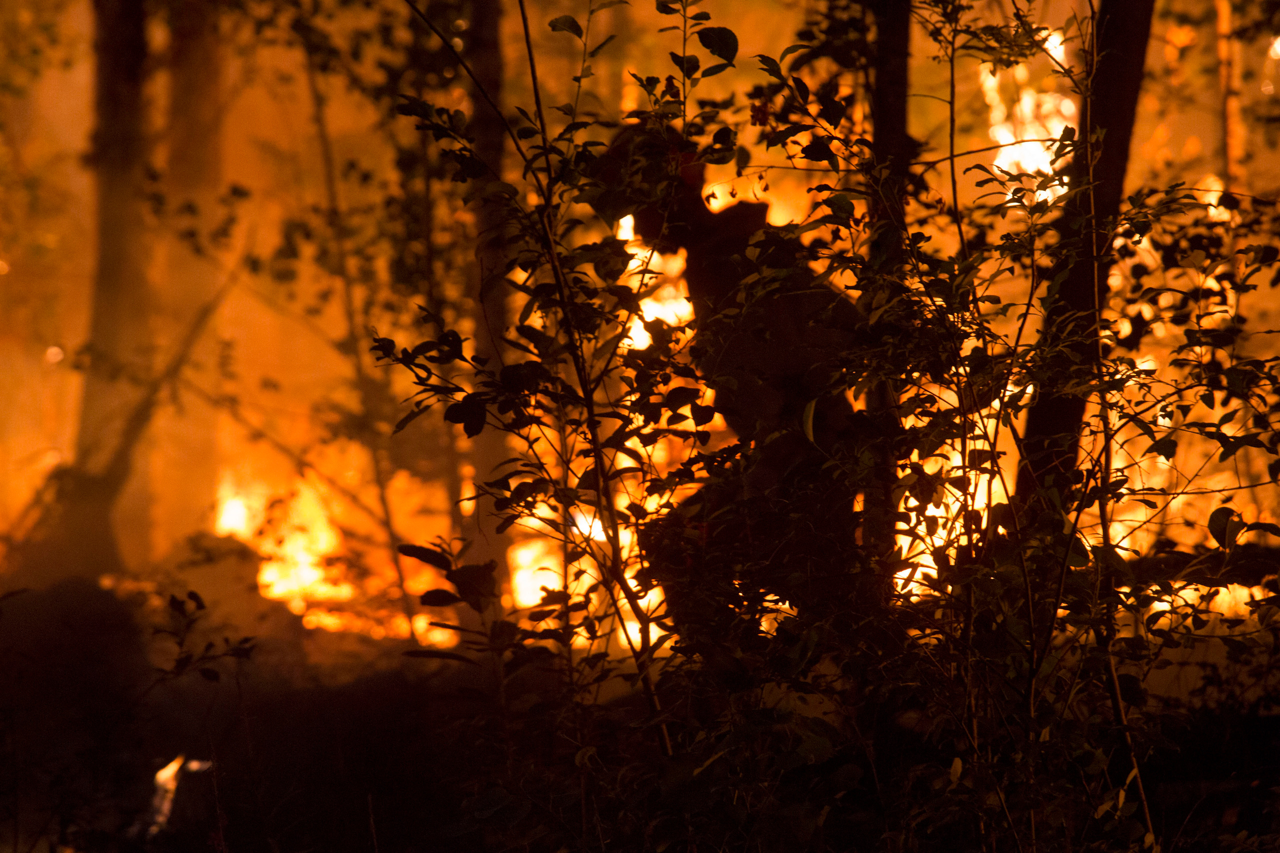 Пожары. Работа Авиалесоохраны. Фотограф Анна Барне