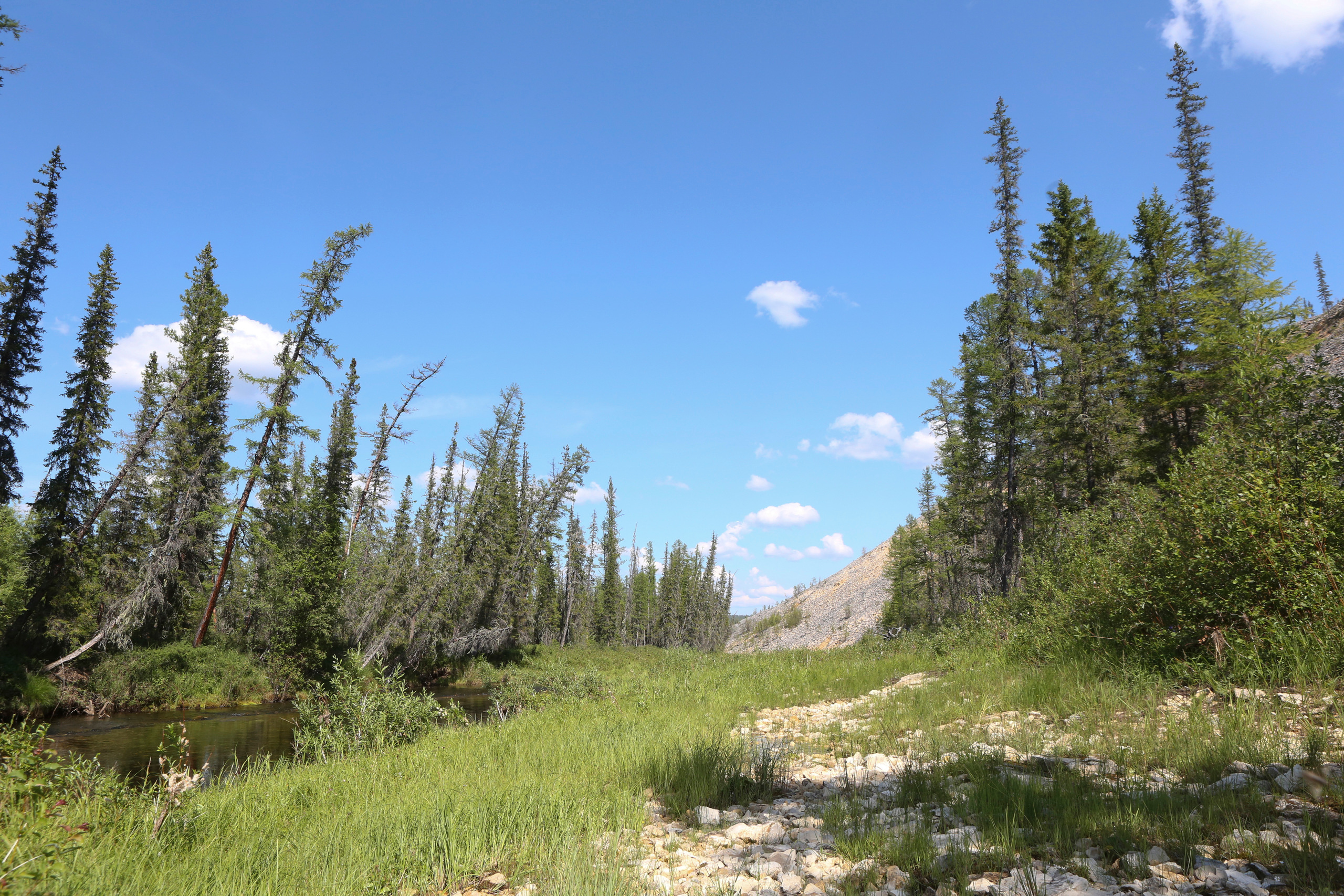 Пейзажи. Фотограф Анна Барне