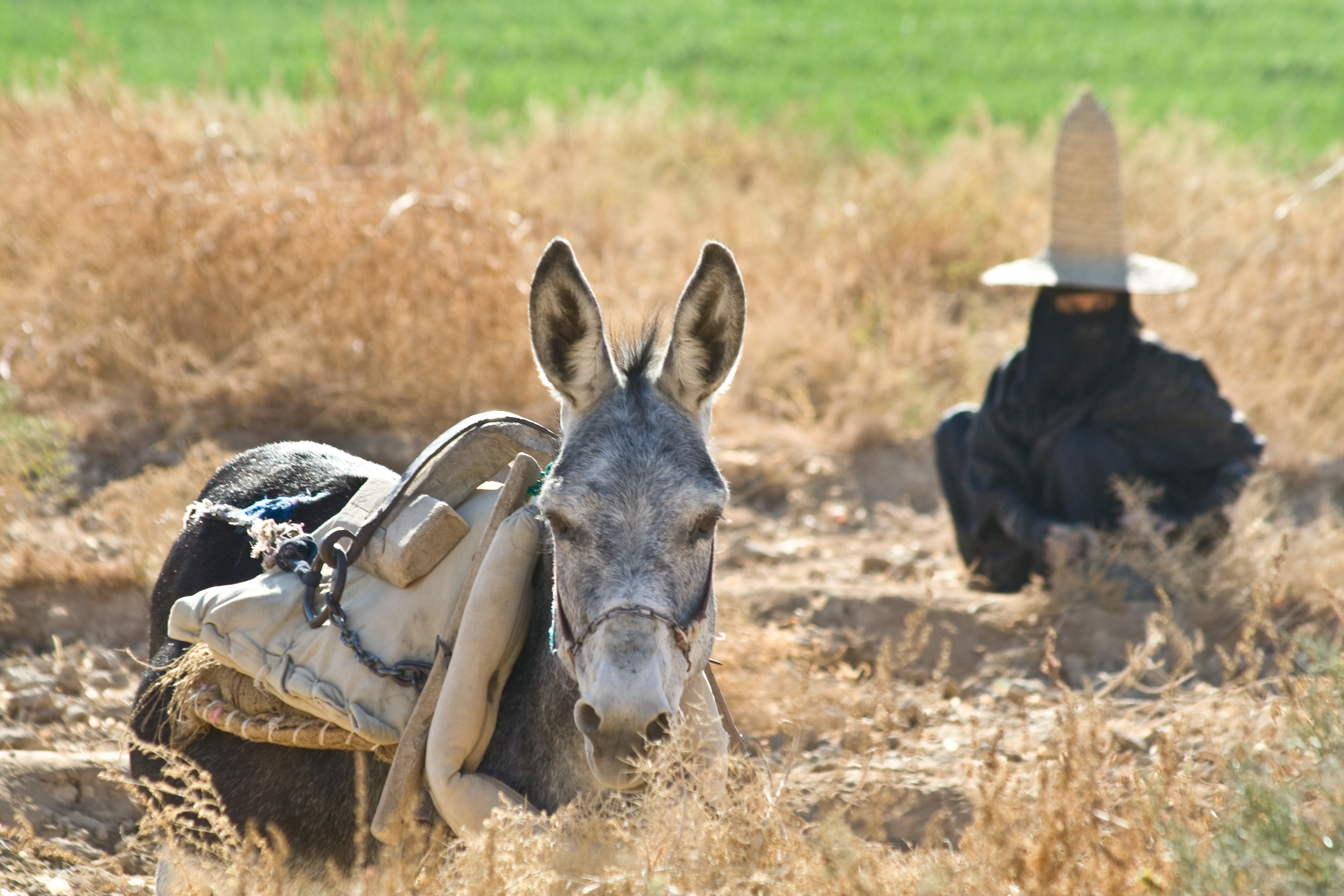 Йемен. Фотограф Анна Барне