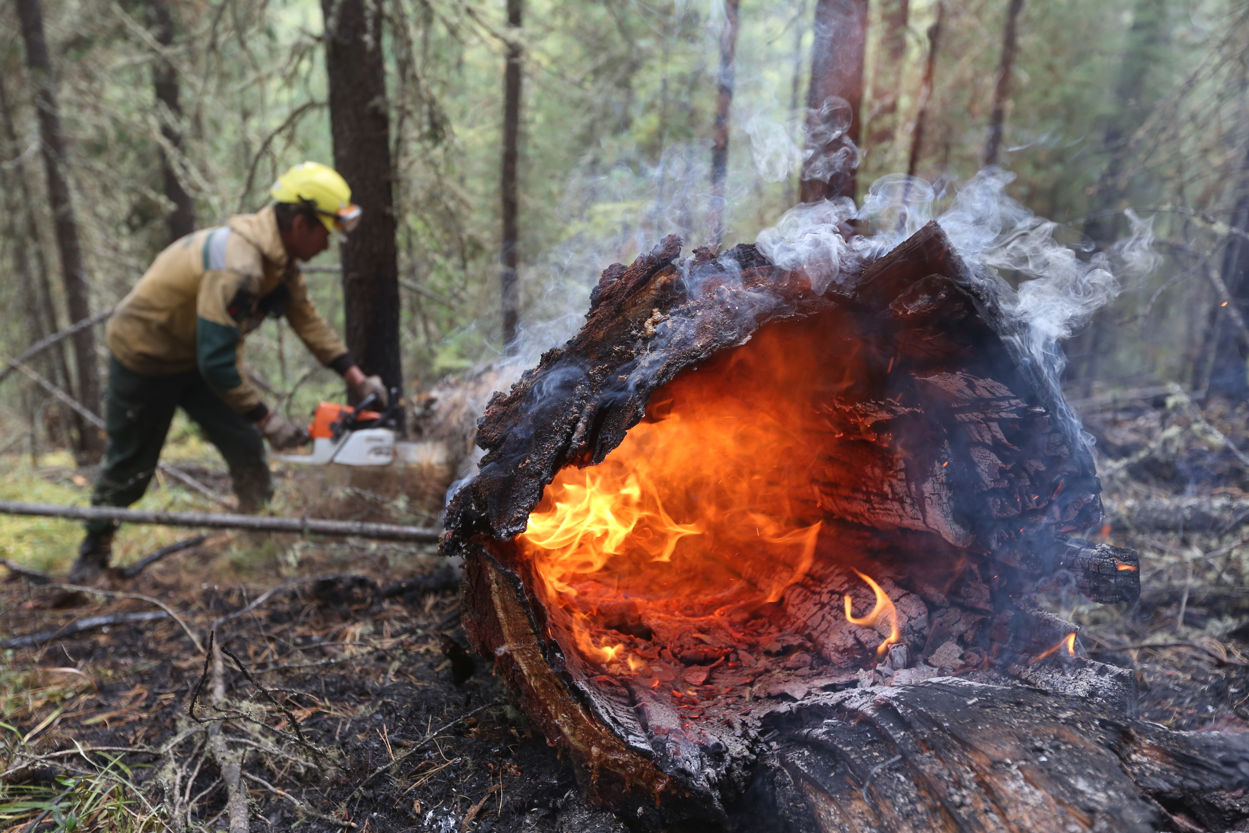 Пожары. Работа Авиалесоохраны. Фотограф Анна Барне