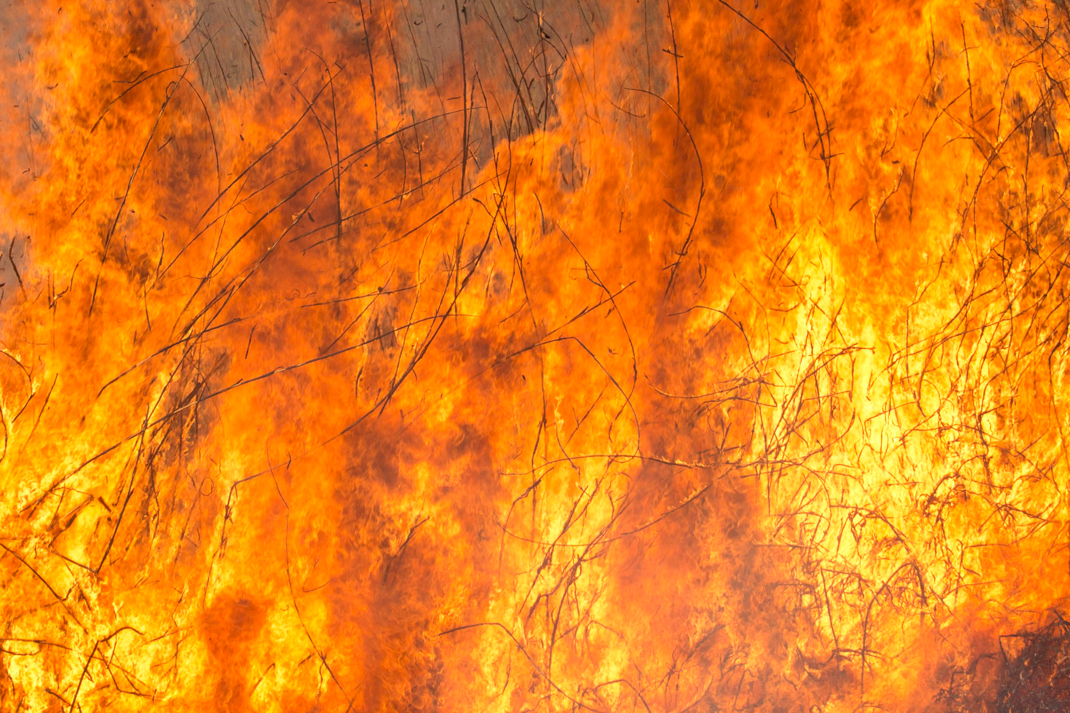 Пожары. Работа добровольцев. Фотограф Анна Барне