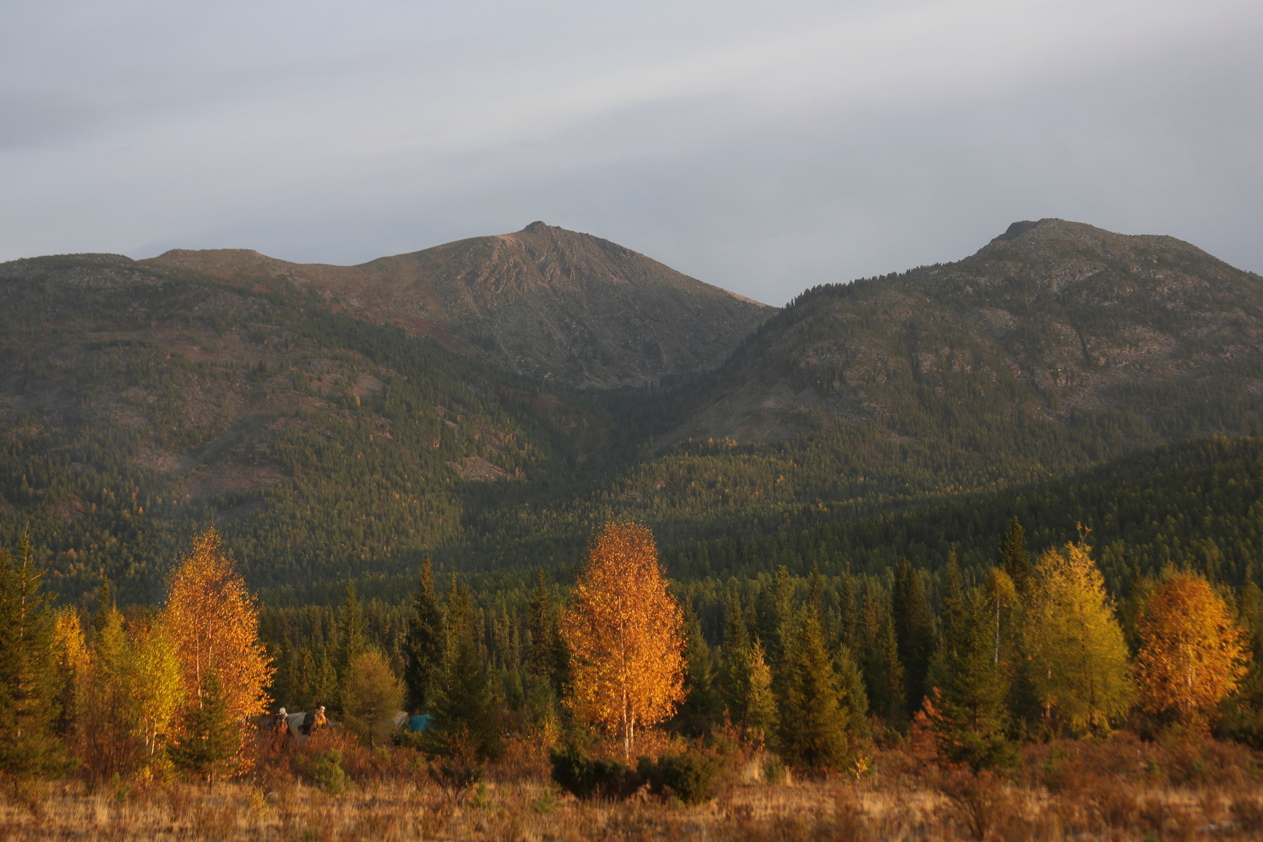 Пейзажи. Фотограф Анна Барне
