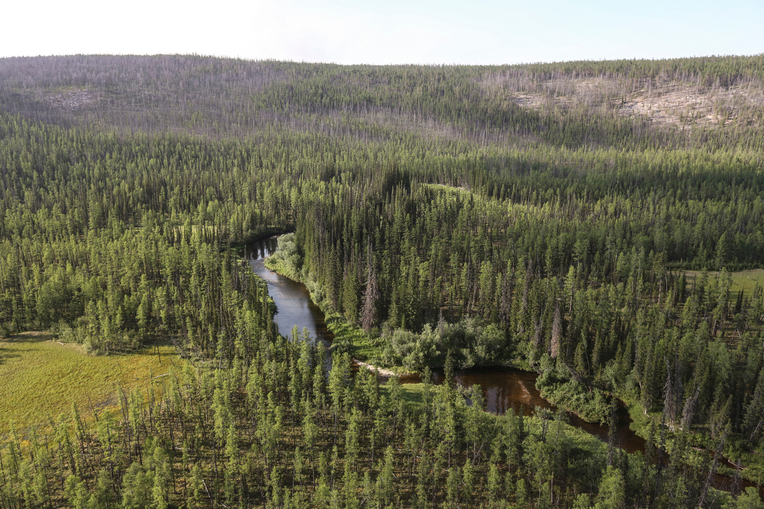 Пейзажи. Фотограф Анна Барне