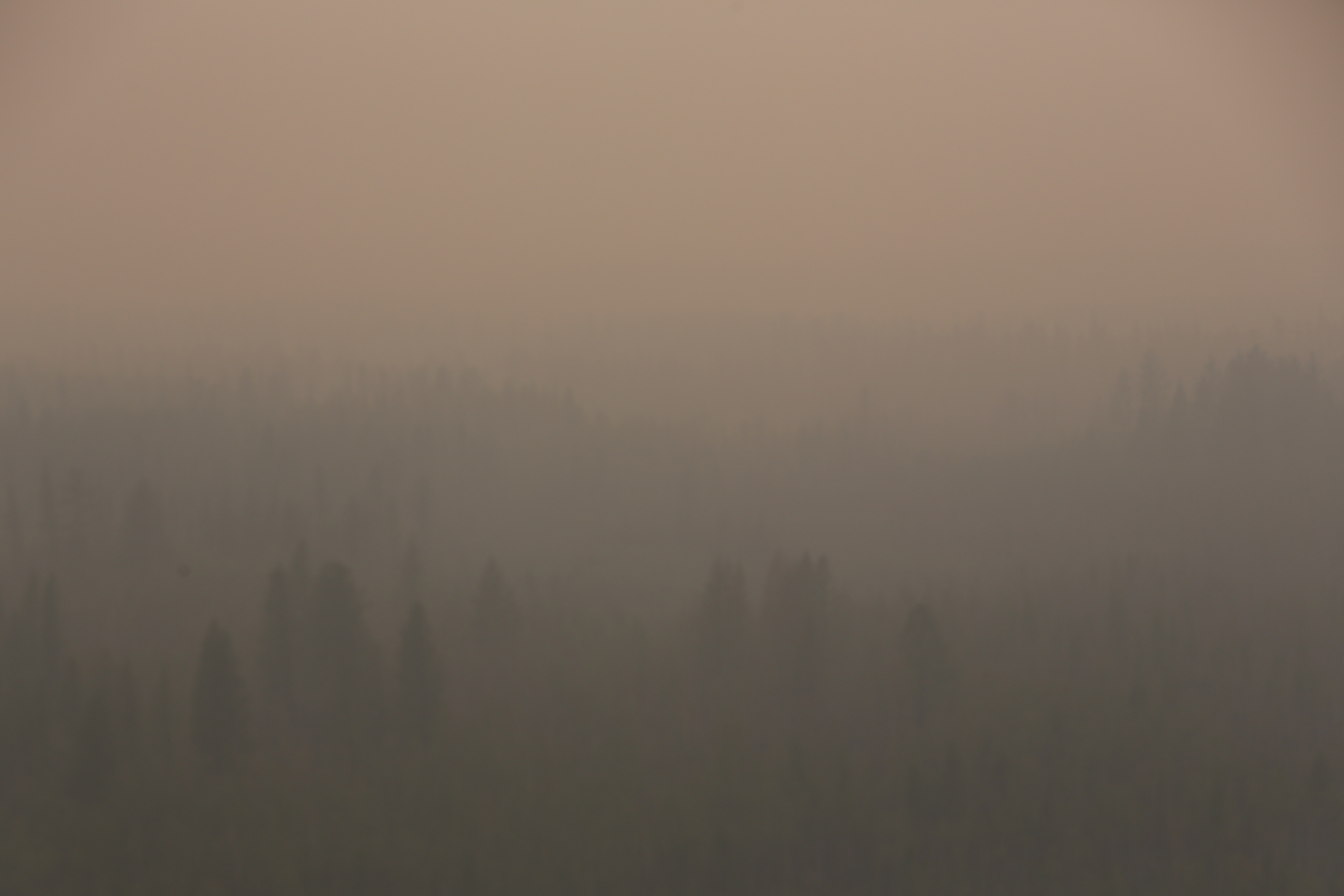 Пожары. Работа Авиалесоохраны. Фотограф Анна Барне