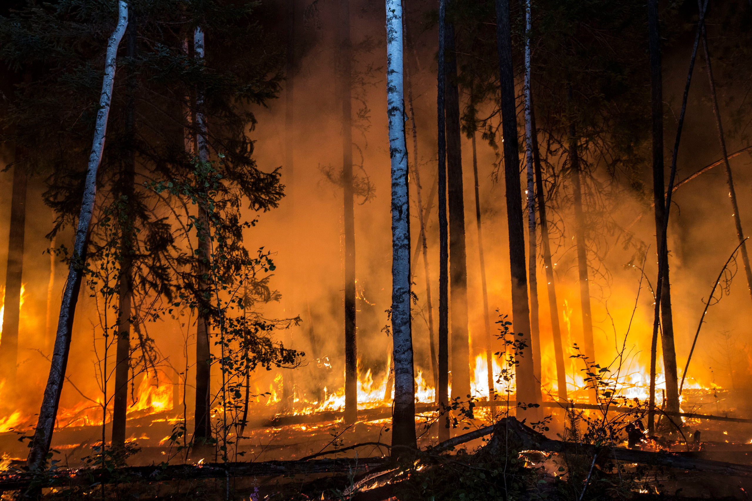 Пожары. Работа Авиалесоохраны. Фотограф Анна Барне