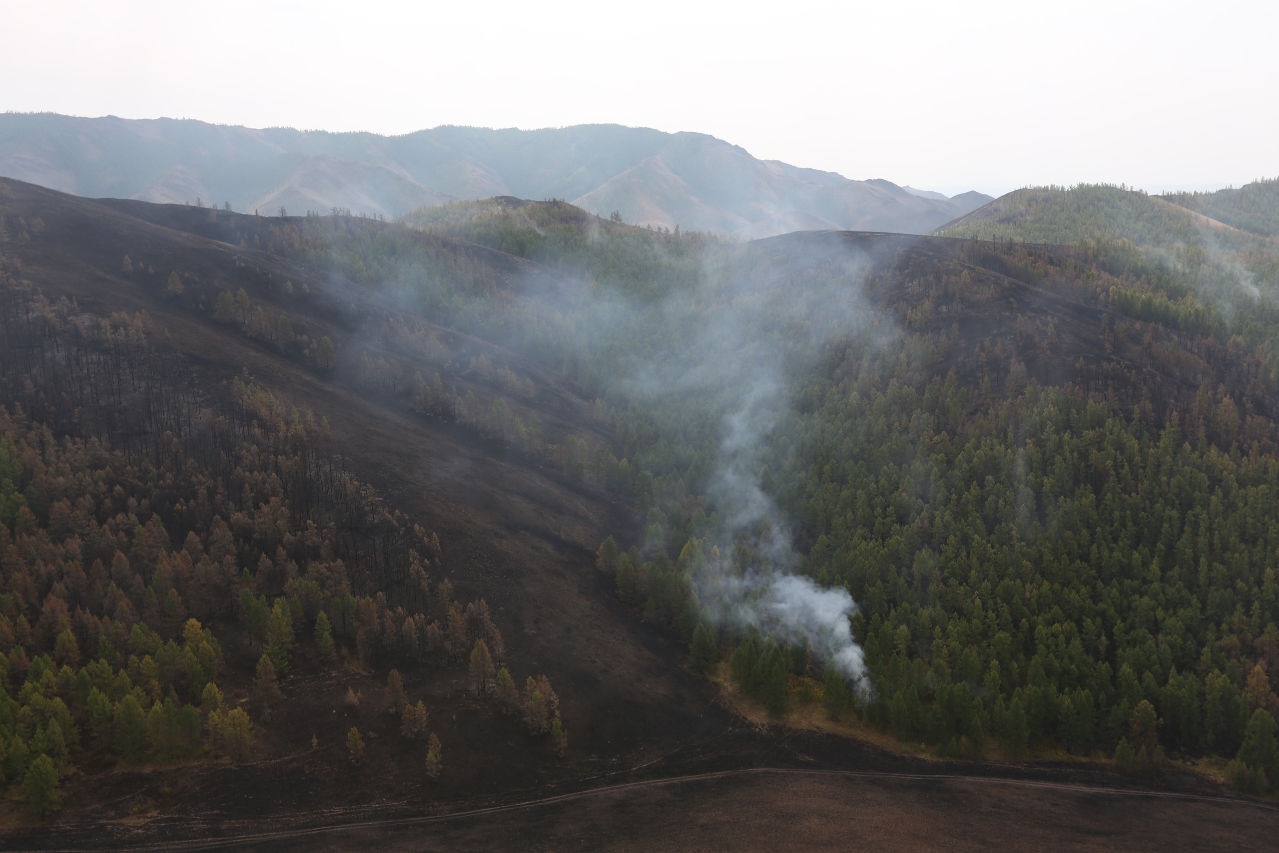 Пожары. Работа Авиалесоохраны. Фотограф Анна Барне