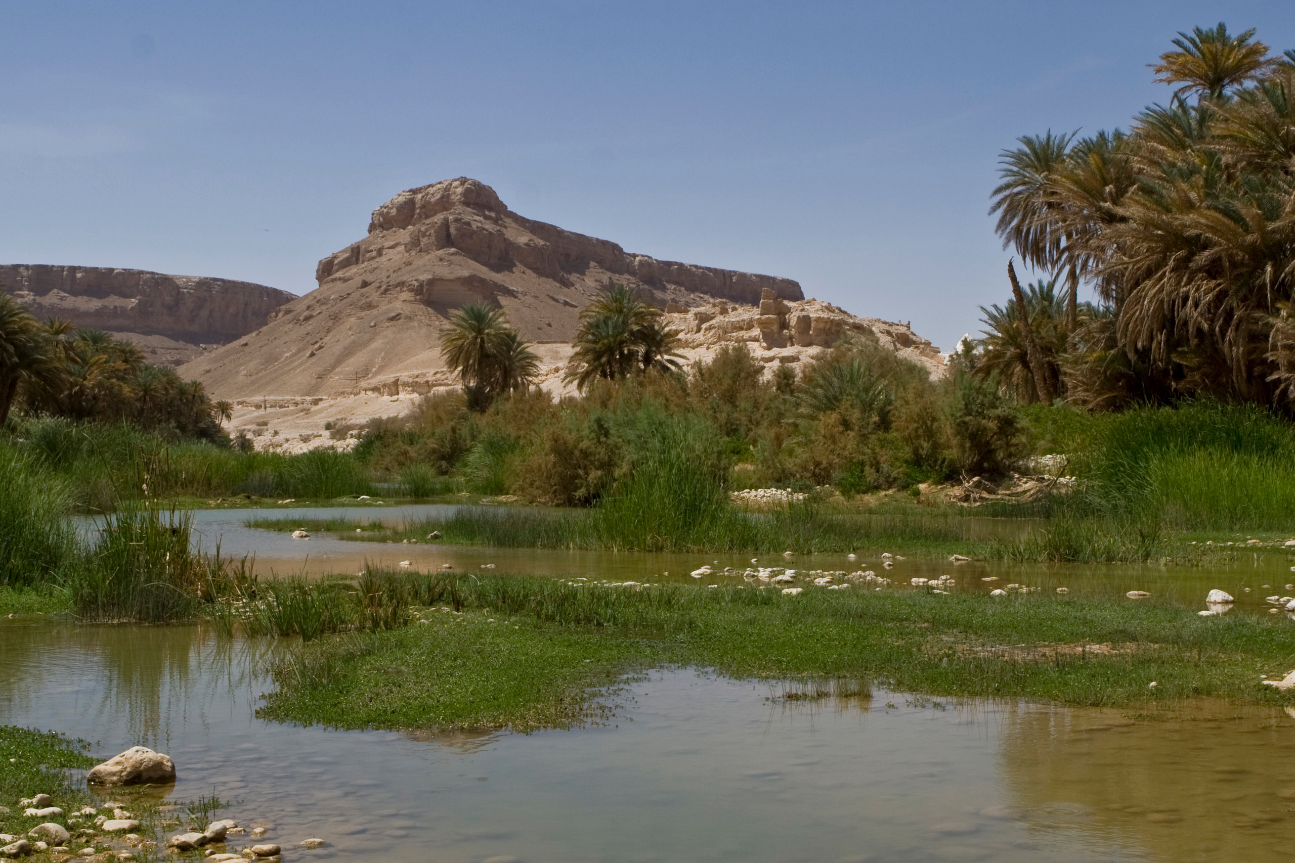 Пейзажи. Фотограф Анна Барне