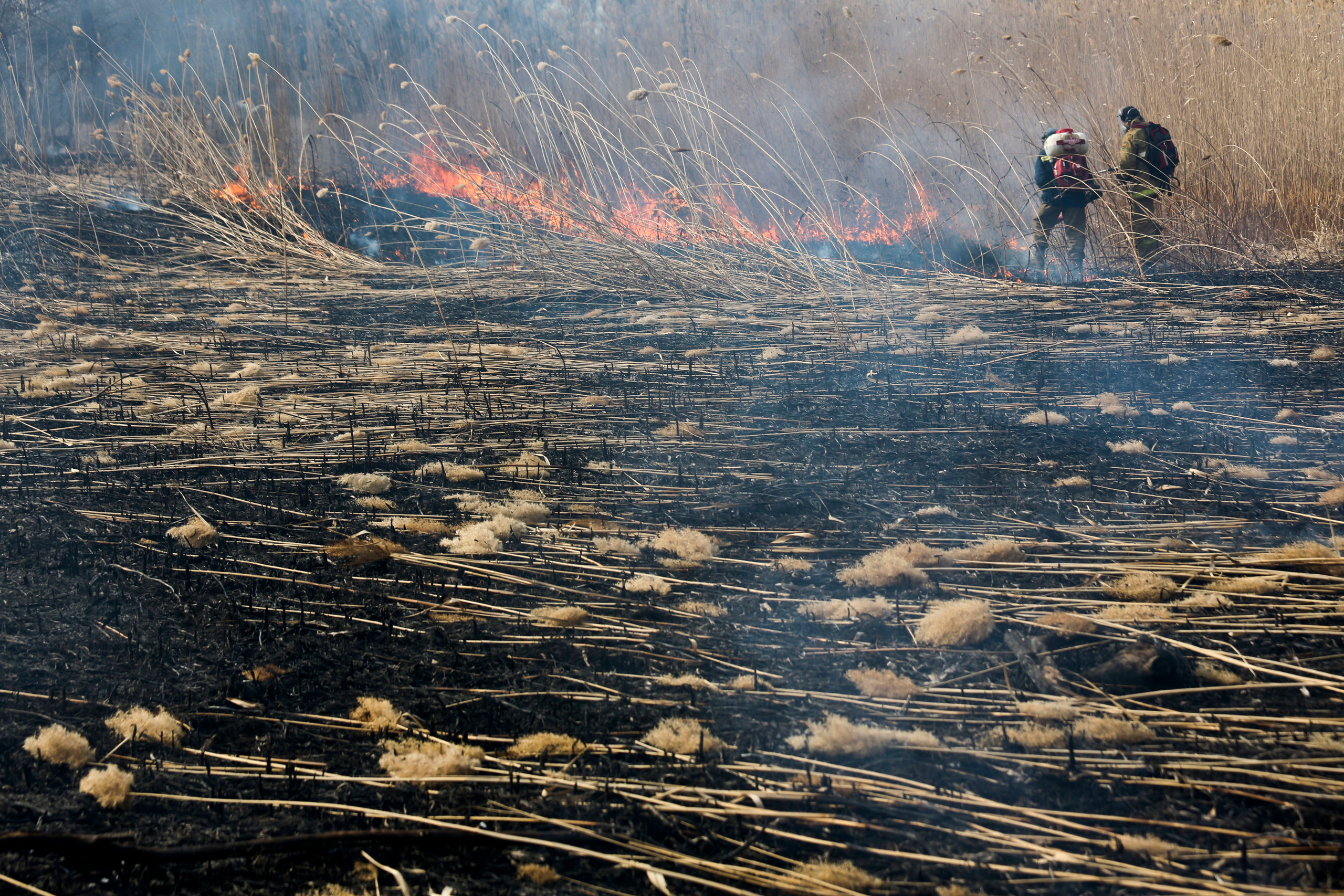 Пожары. Работа добровольцев. Фотограф Анна Барне