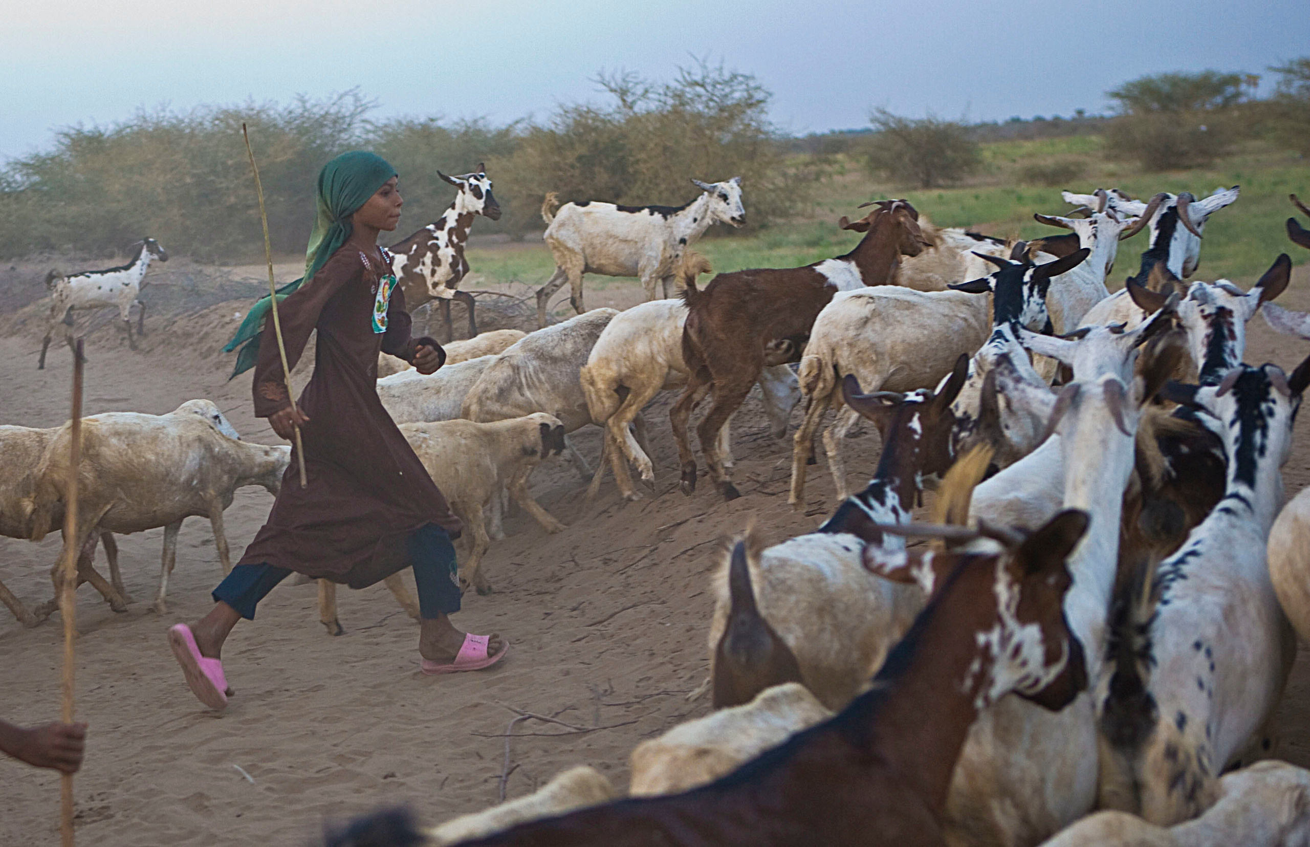 Йемен. Фотограф Анна Барне