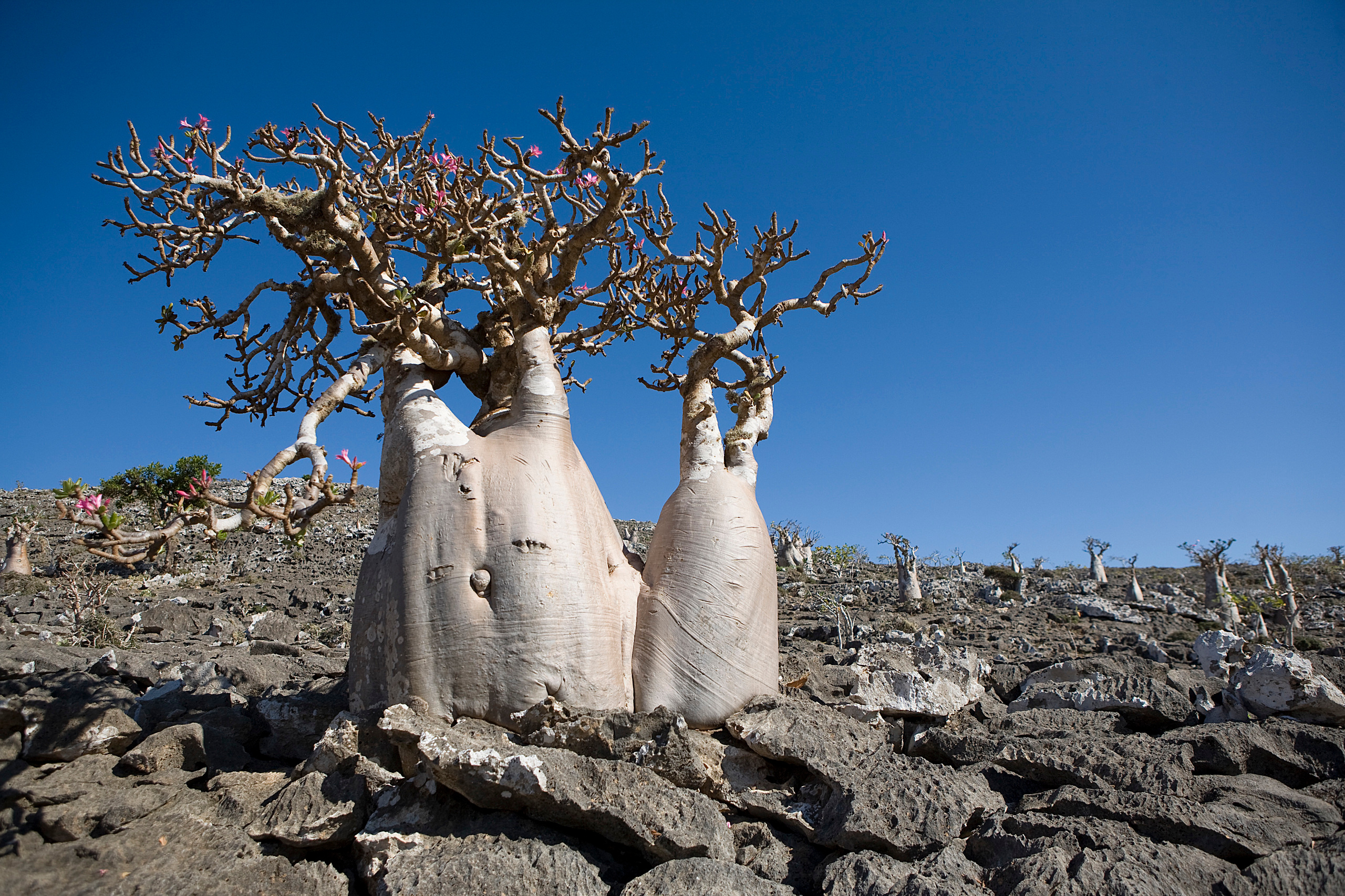 Пейзажи. Фотограф Анна Барне