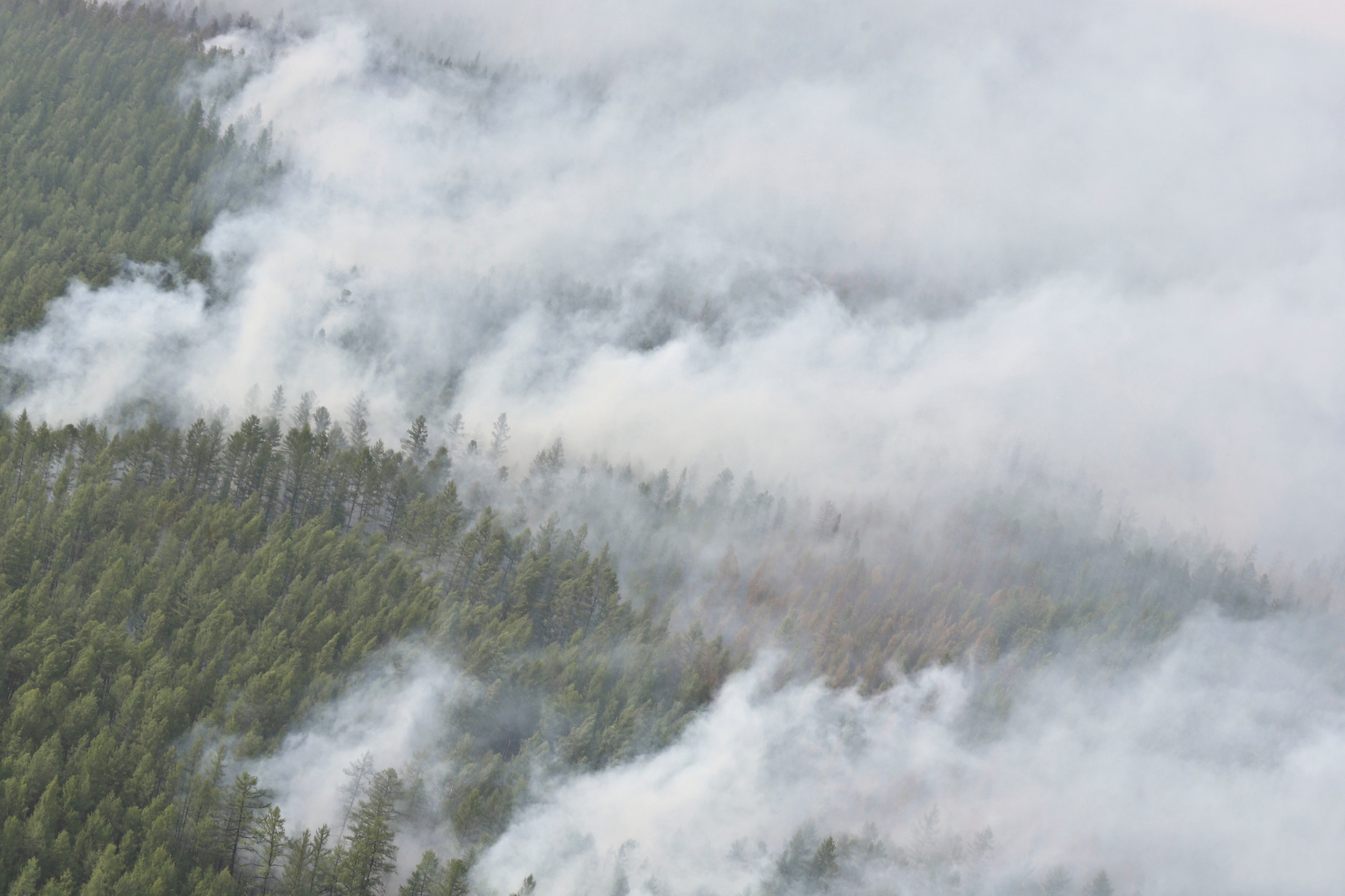 Пожары. Работа Авиалесоохраны. Фотограф Анна Барне