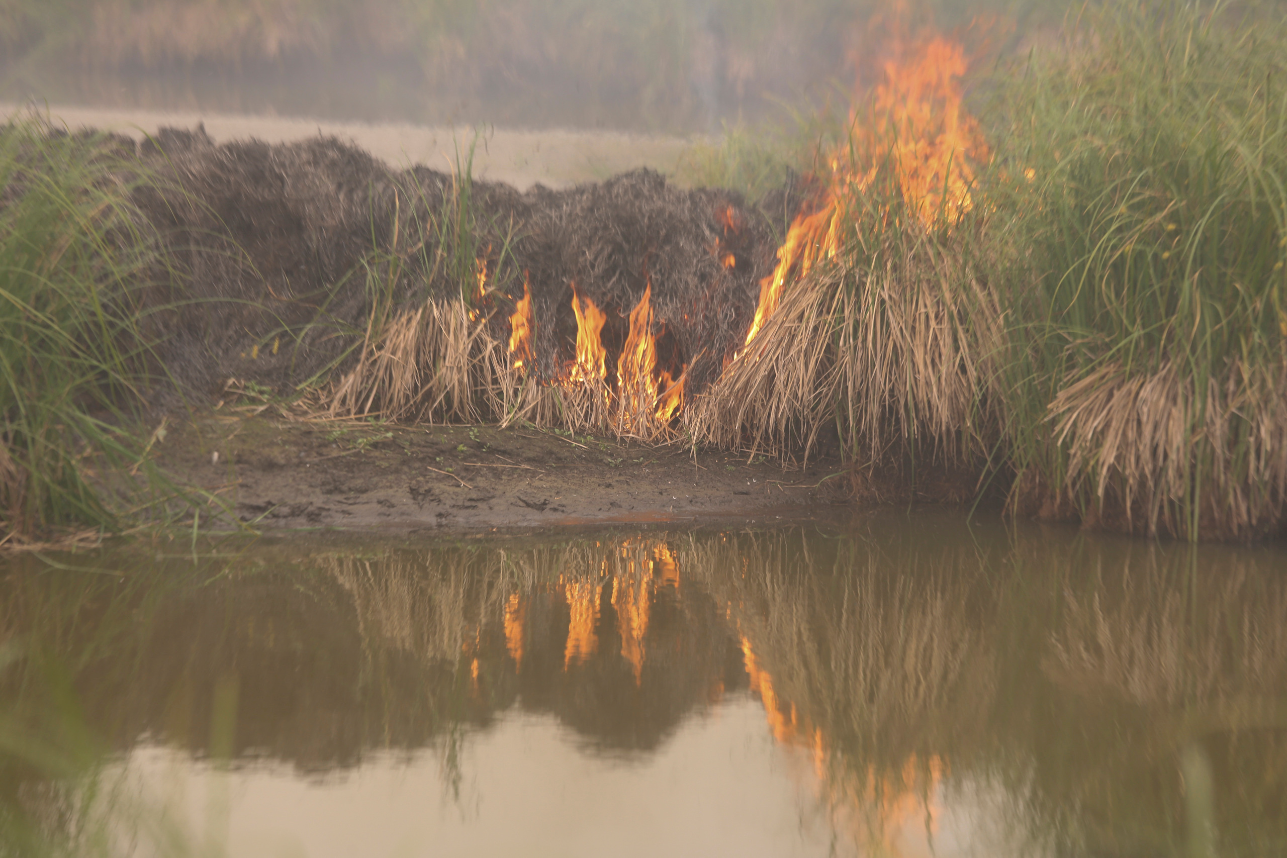 Пожары. Работа Авиалесоохраны. Фотограф Анна Барне