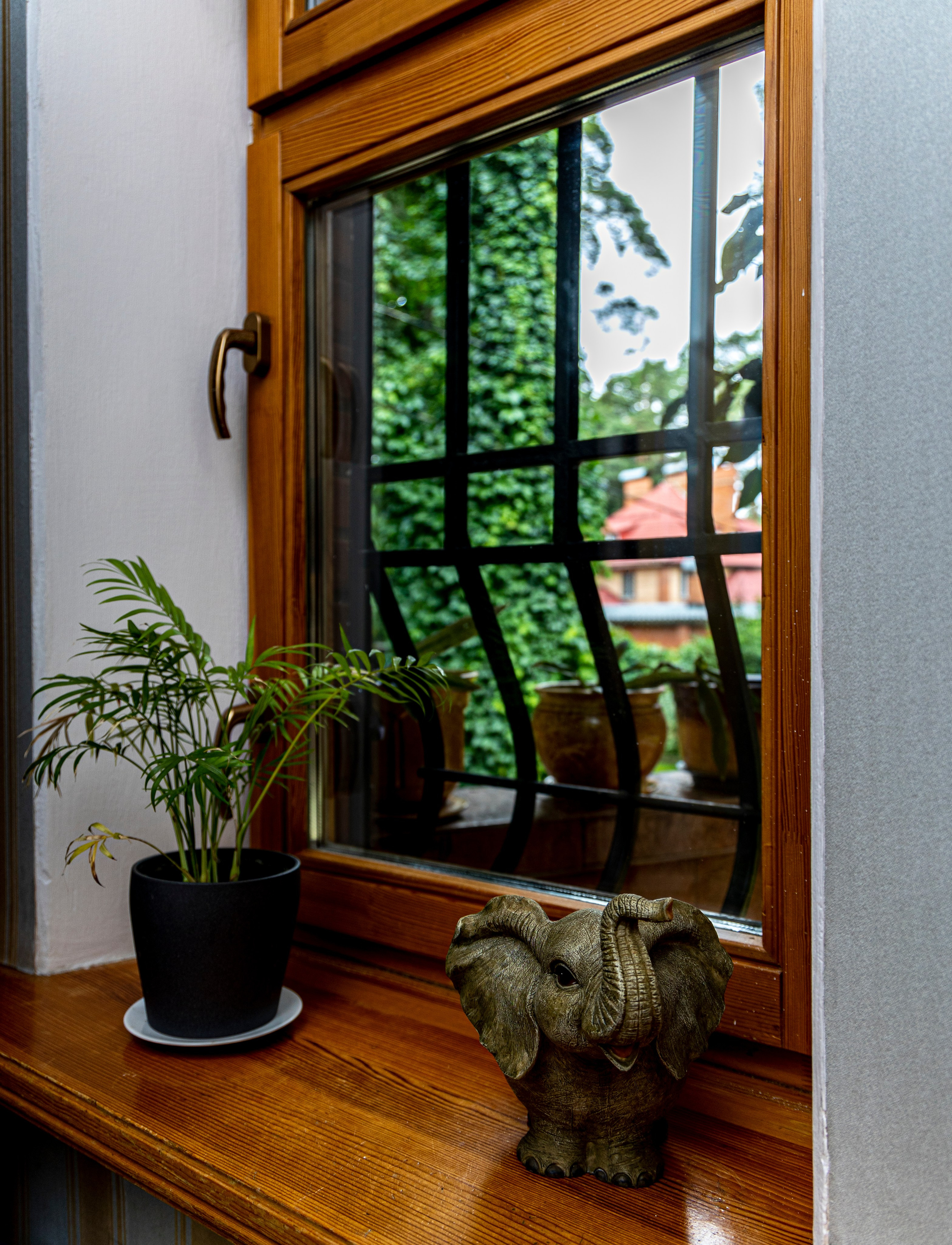 Фотограф Татьяна Марсуверских г. Жуковский, Москва и Мо. Репортажные съёмки, фотосессии. Детский, семейный фотограф. Фотограф для маркетплейсов, фотоуслуги в Жуковском Татьяна Марсуверских