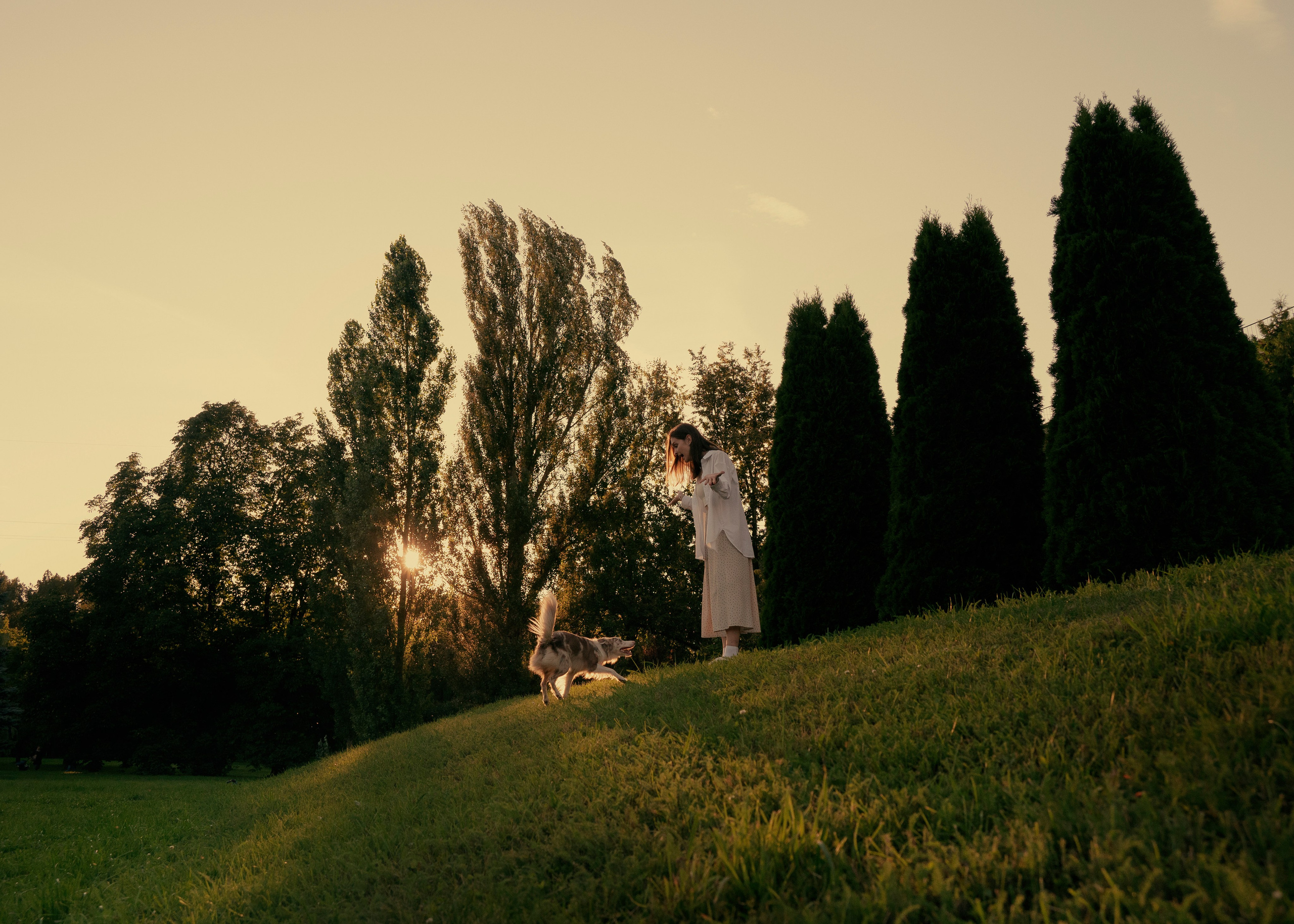 Вэй. Фотограф- анималист Александра Матвеева