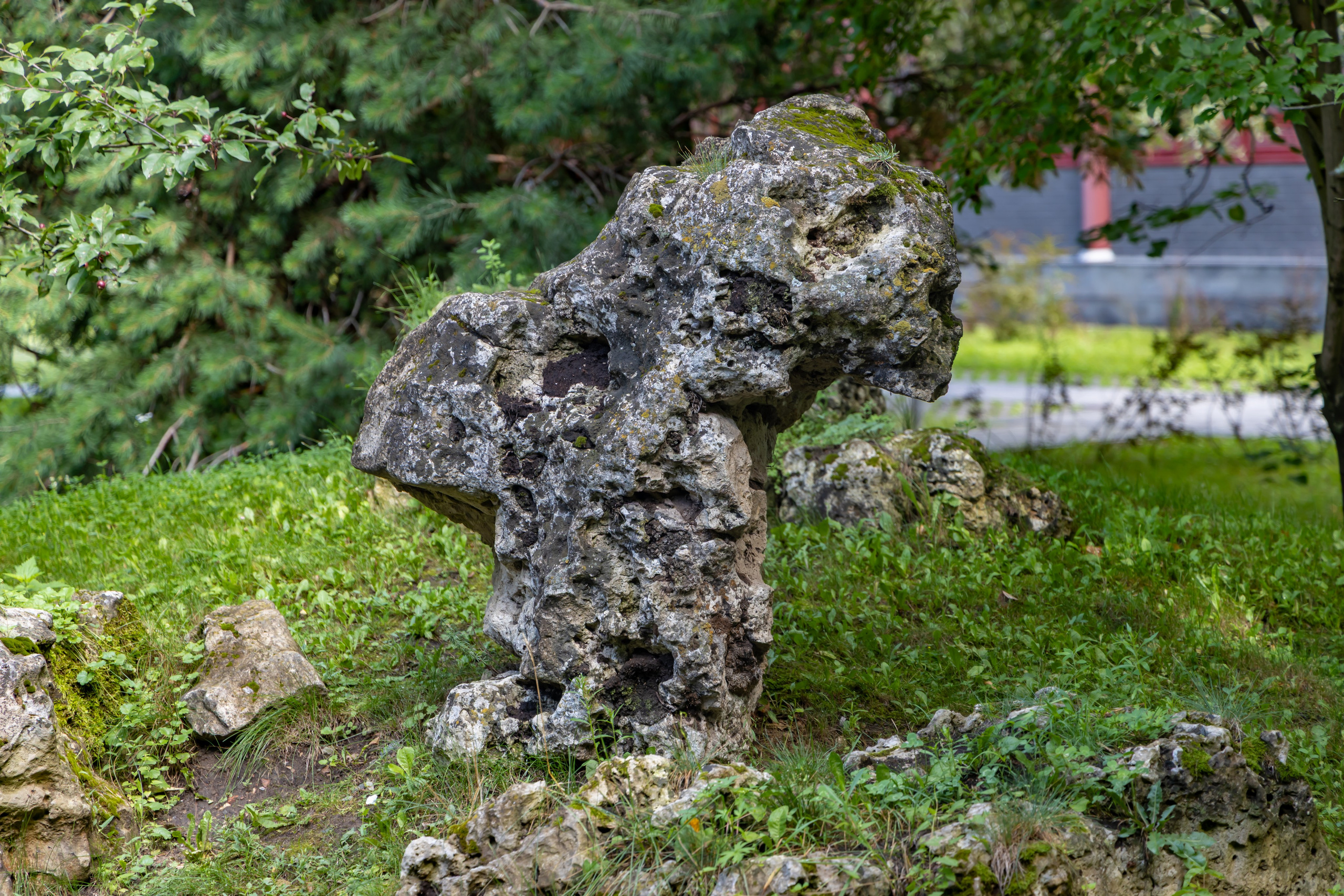 Парк хуамин в Москве. Репортажный, семейный и студийный фотограф в Москве Демин Алексей