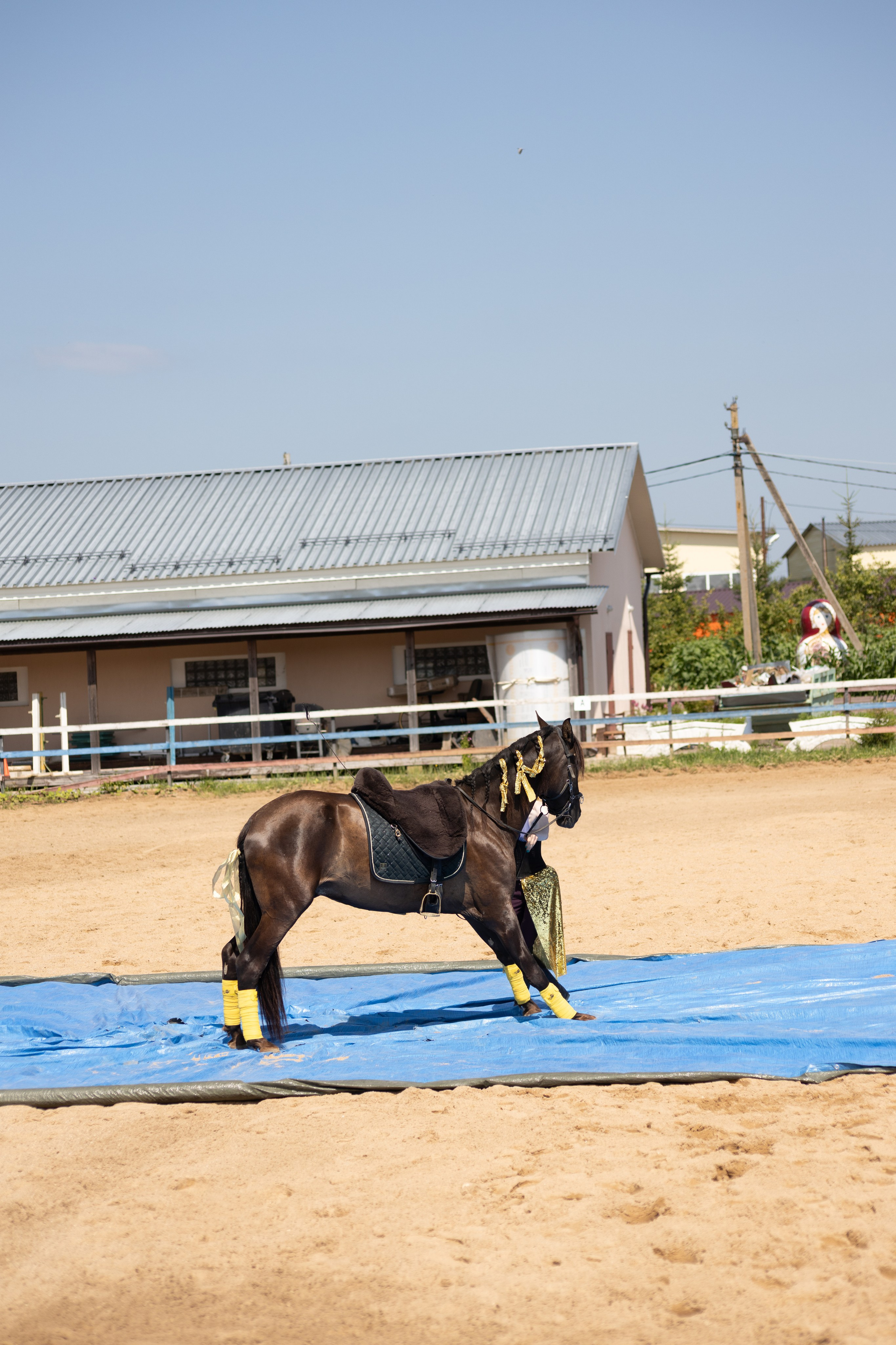 Конюшня. Фотограф в Москве и Истре