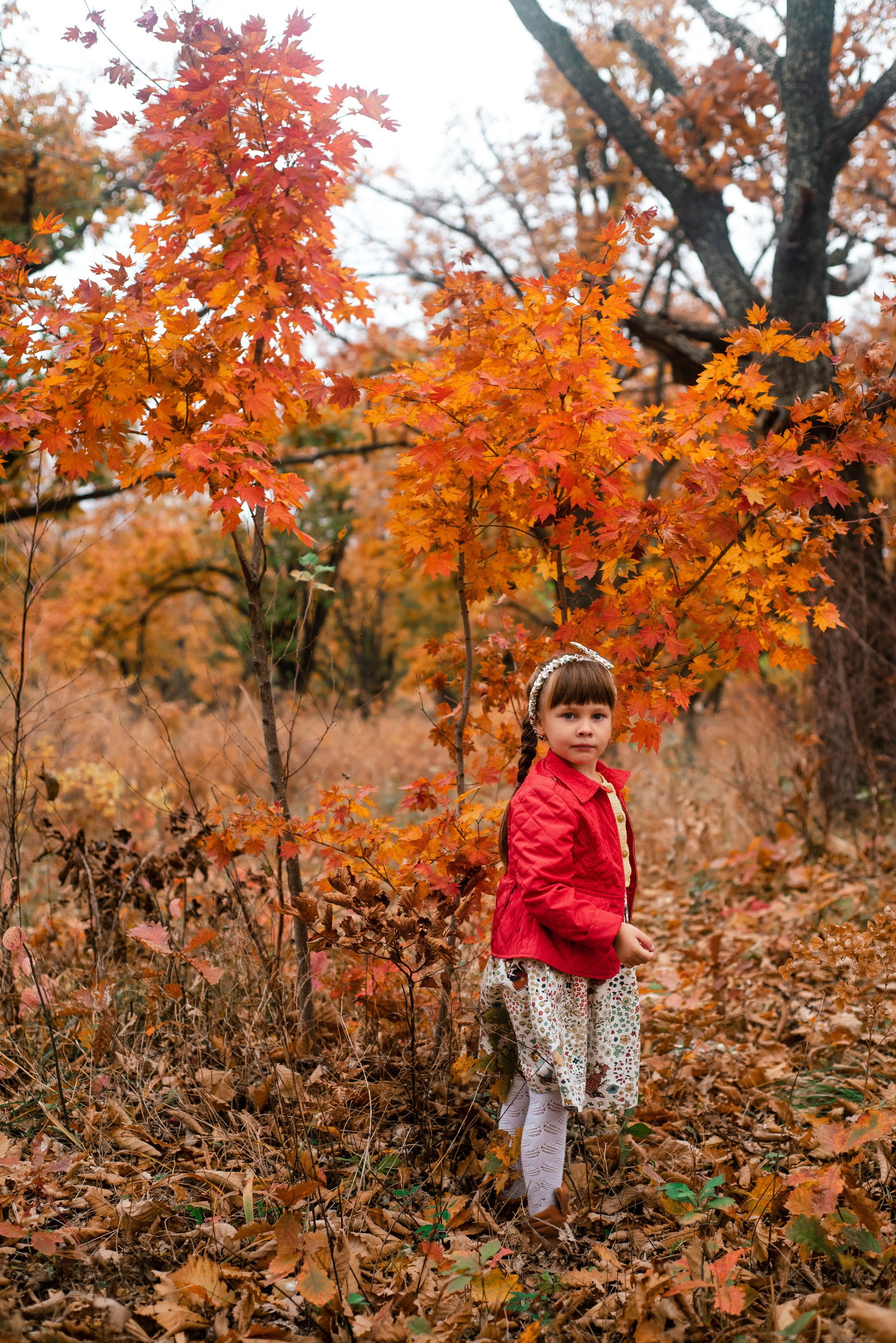 Семейная прогулка. Фотограф Ярмишко Дарья. Выпускные фотокниги