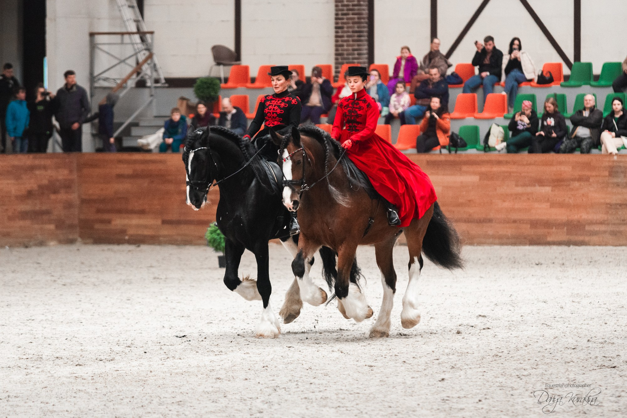 8-я международная выставка Конная Россия. Конный фотограф Куракина Дарья • Фотосессии с лошадьми