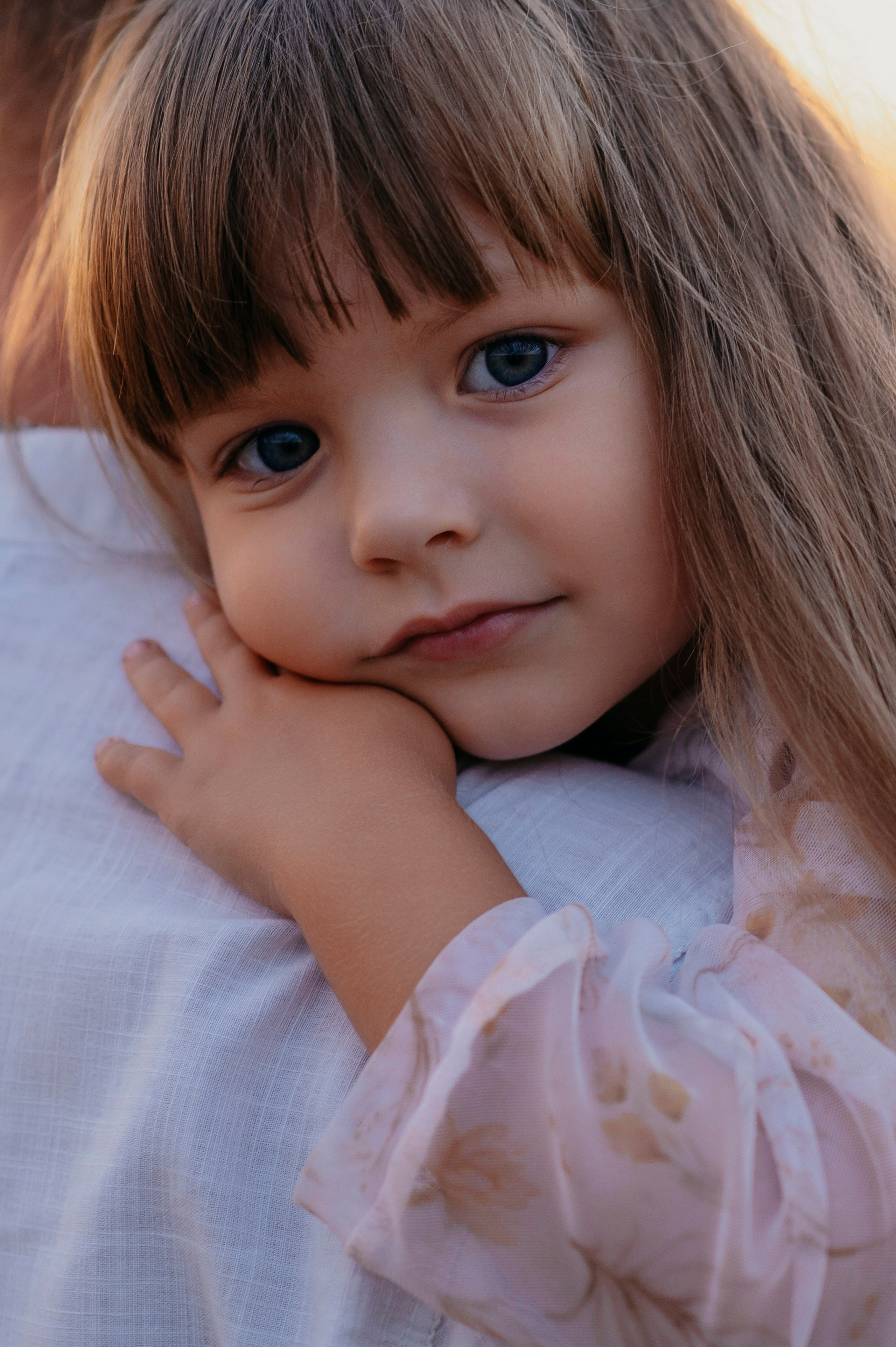 Пшеничный закат. Фотограф Дарья Семина