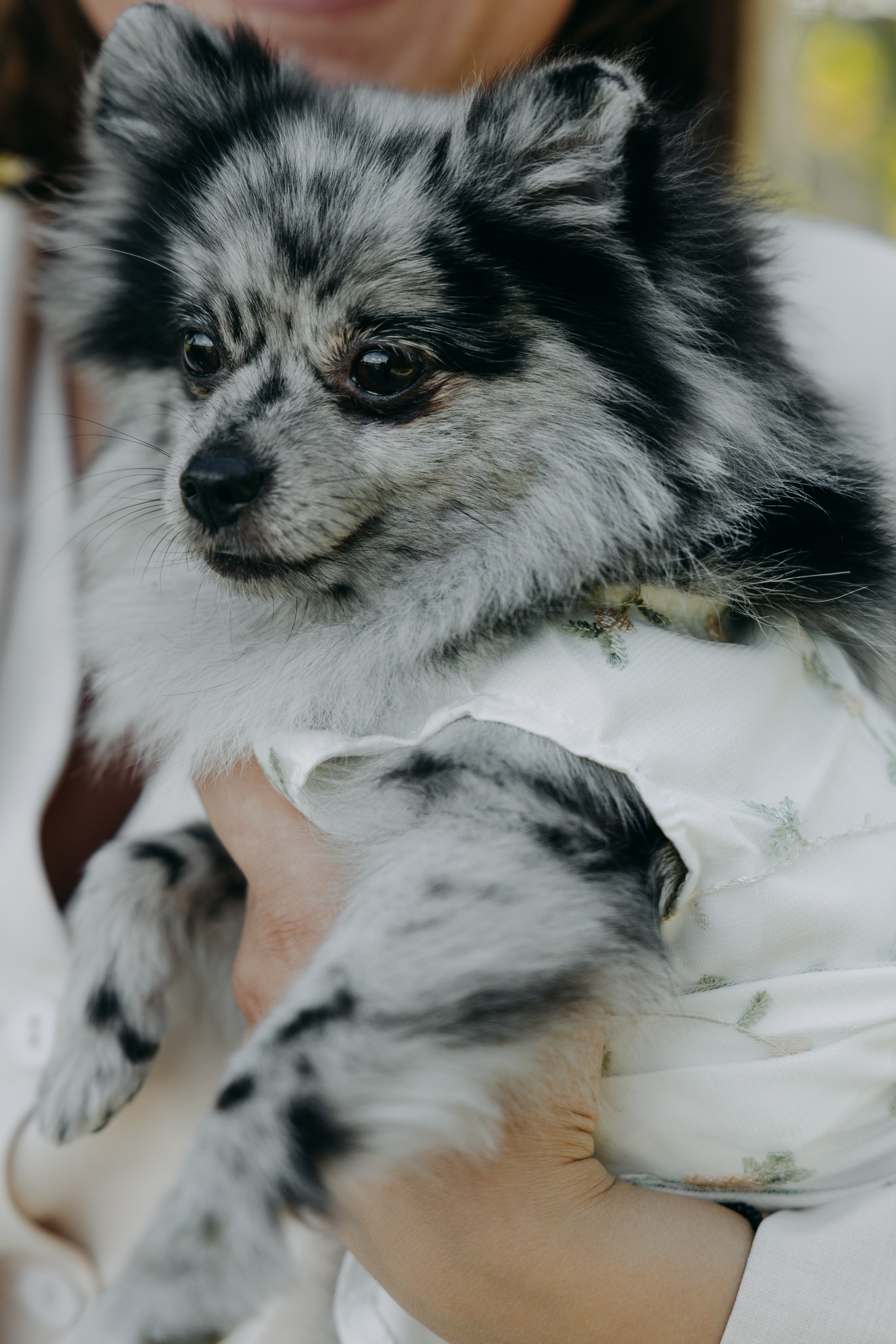 Утро в отеле Twelve Reasons и банкет в усадьбе Шелепаново. Свадебный фотограф Москва Анастасия Храмова