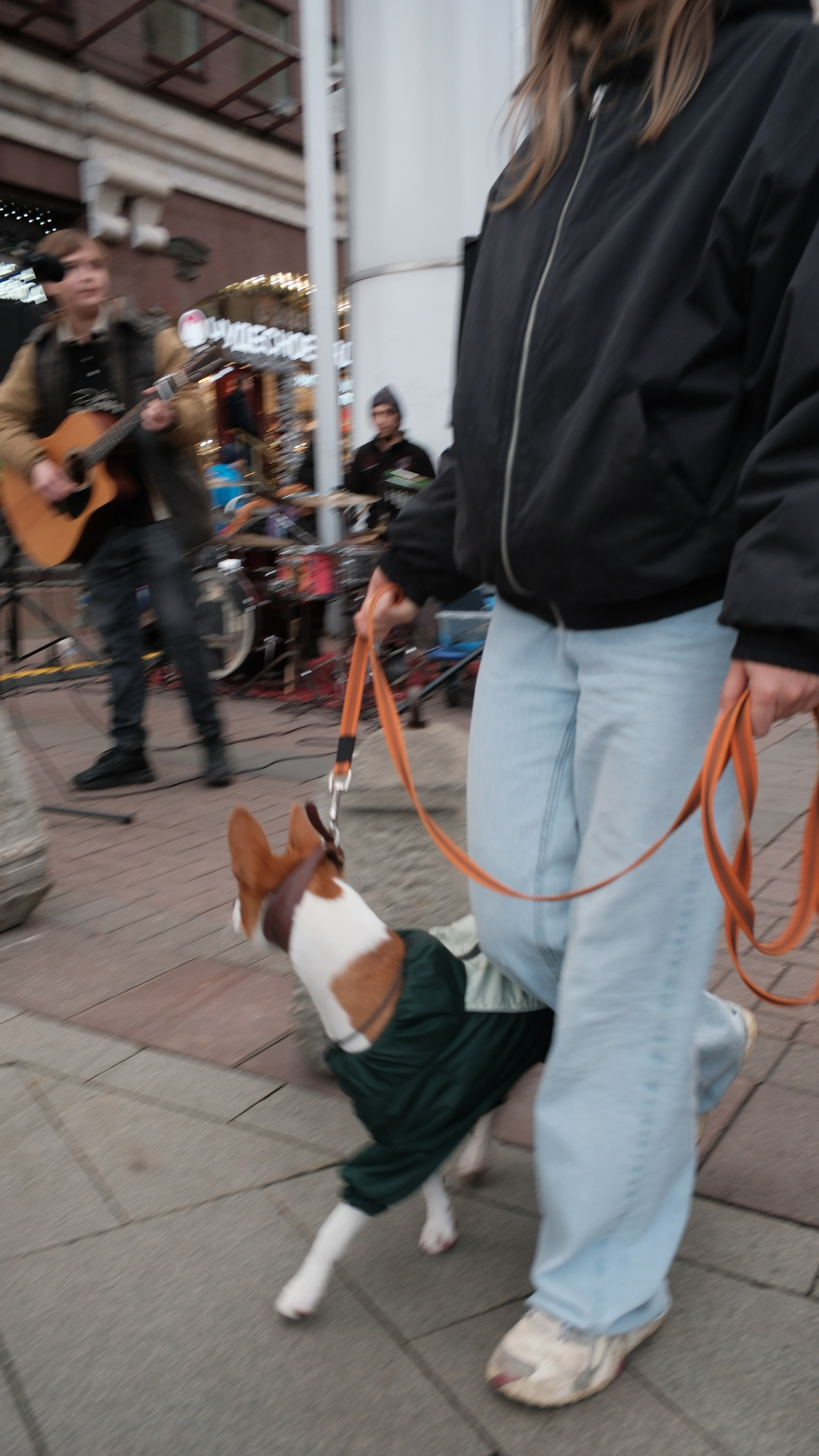 Улица, люди, жизнь…