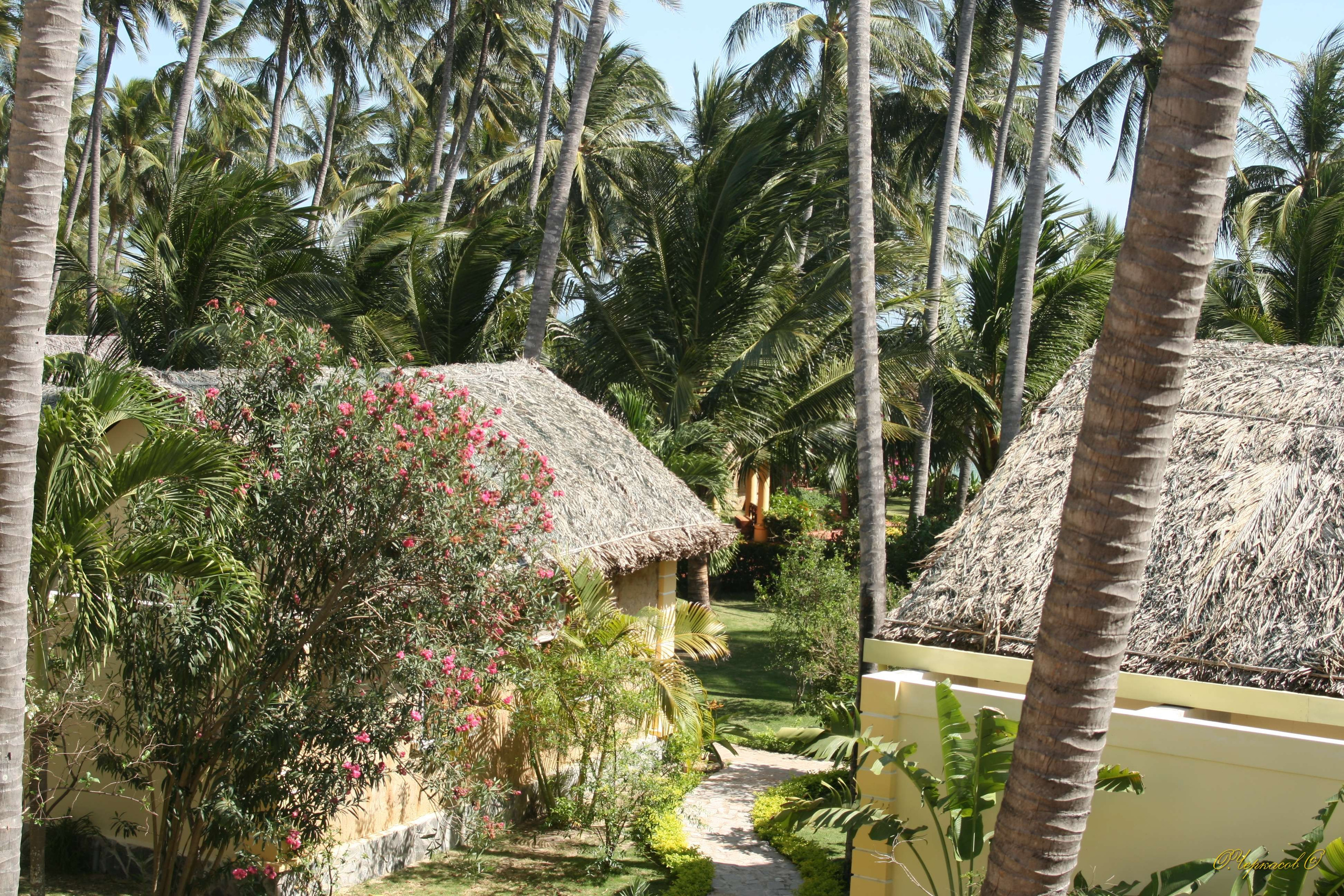 Вьетнам 2008 г. Улица, люди, жизнь…