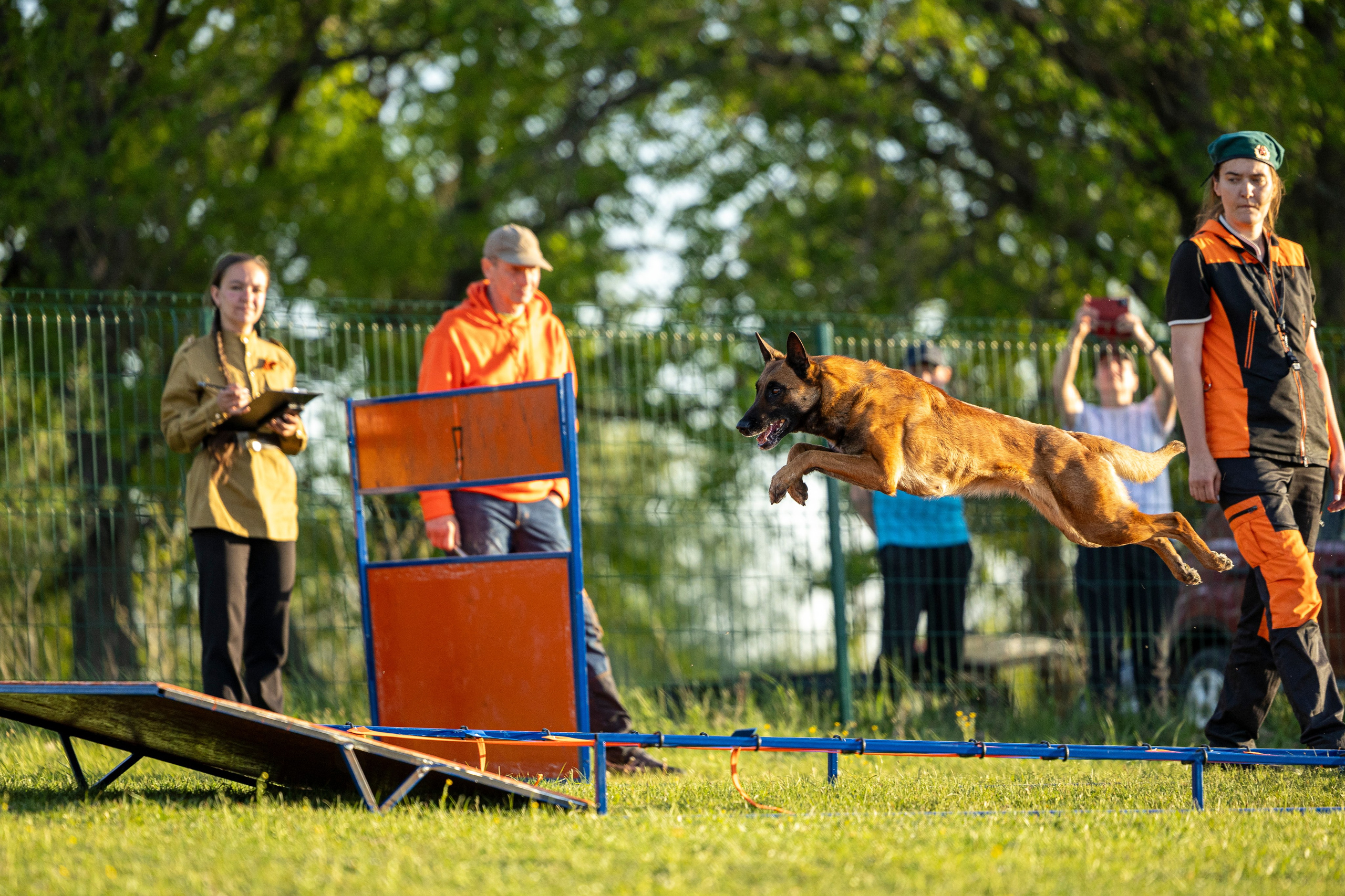 Испытания по мондьорингу в Нижнем Новгороде. Фотограф-анималист Анна Маринич
